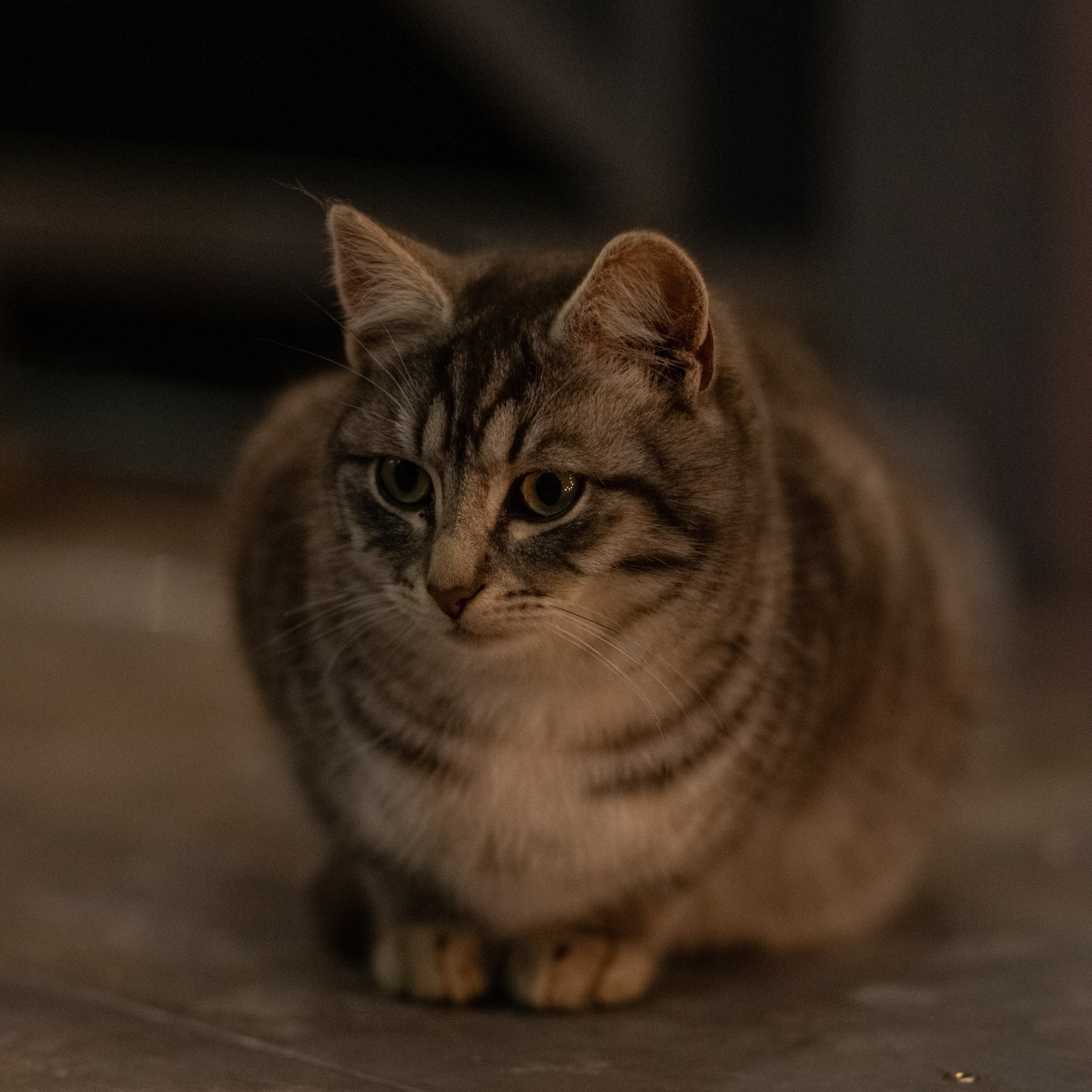 Примеры фотографий SMC Pentax 67 105mm f2.4 через переходник на Sony A7