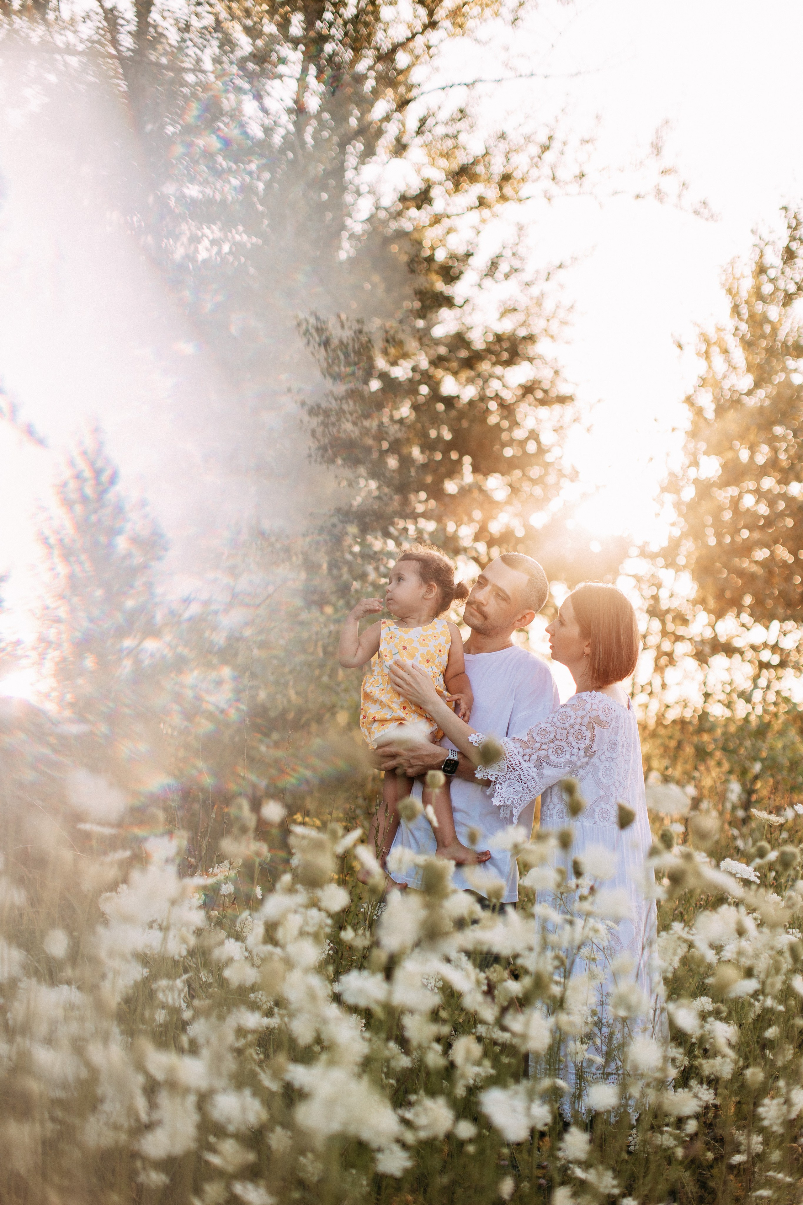 Море подсолнухов. Фотограф Катя Дубовик