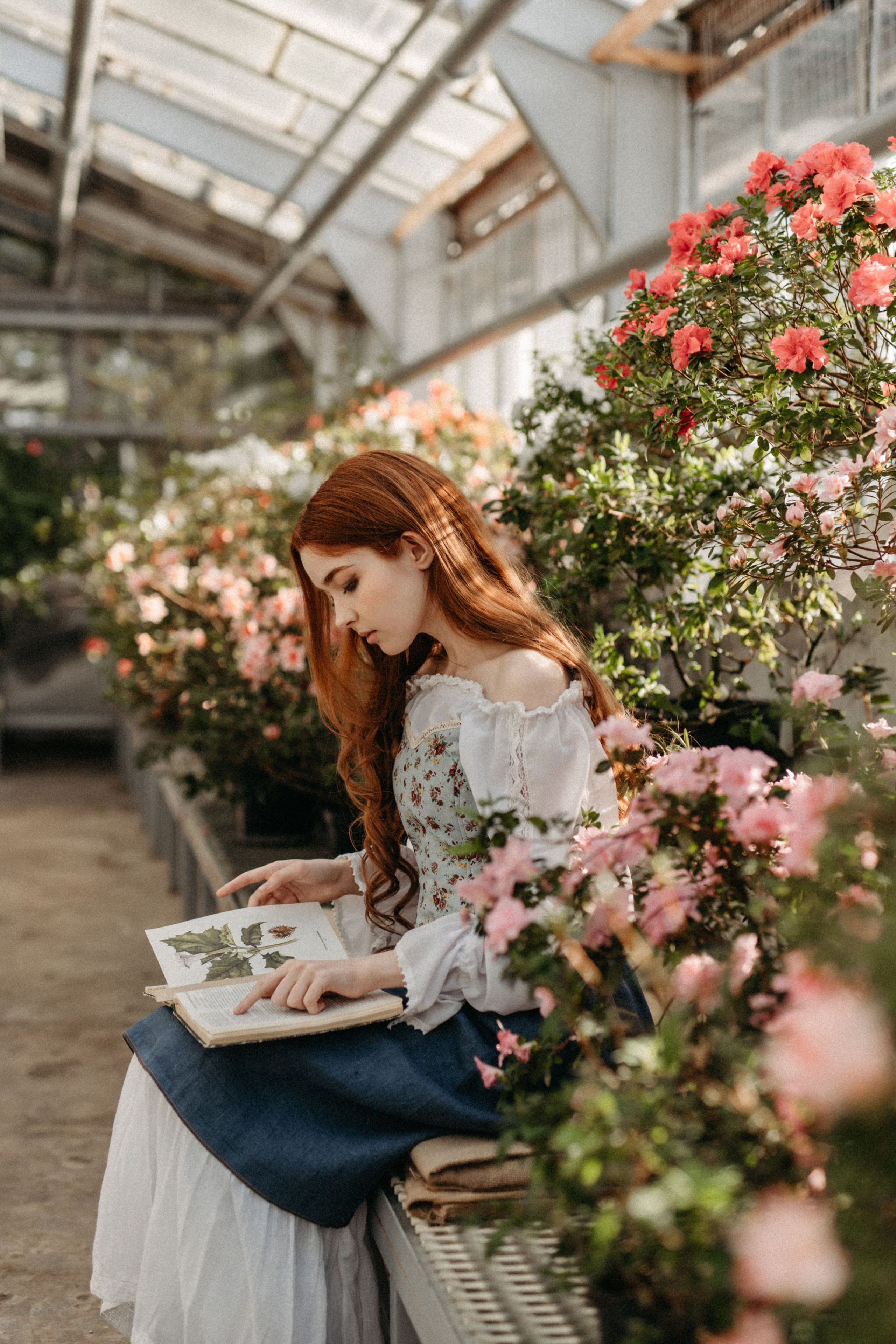 Там, где круглый год весна. Фотограф Наталья Колганова