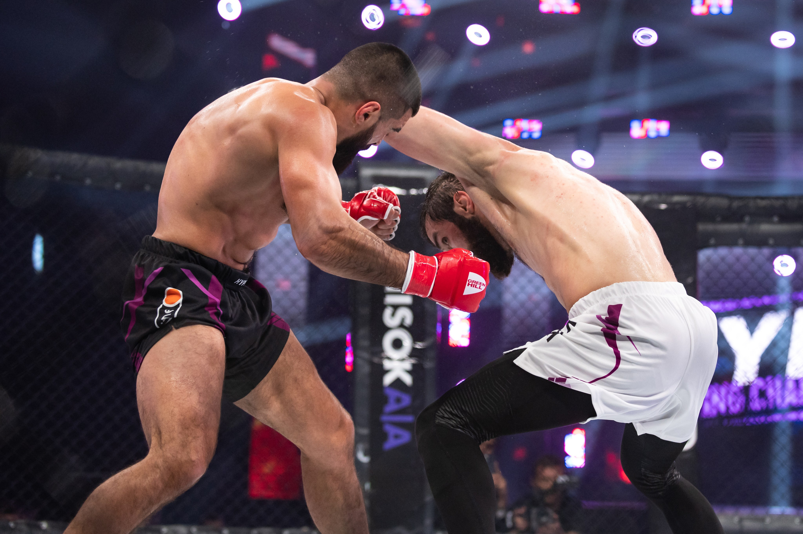 Бои. Репортажный фотограф в Красной Поляне и Сочи Павлюченко Екатерина