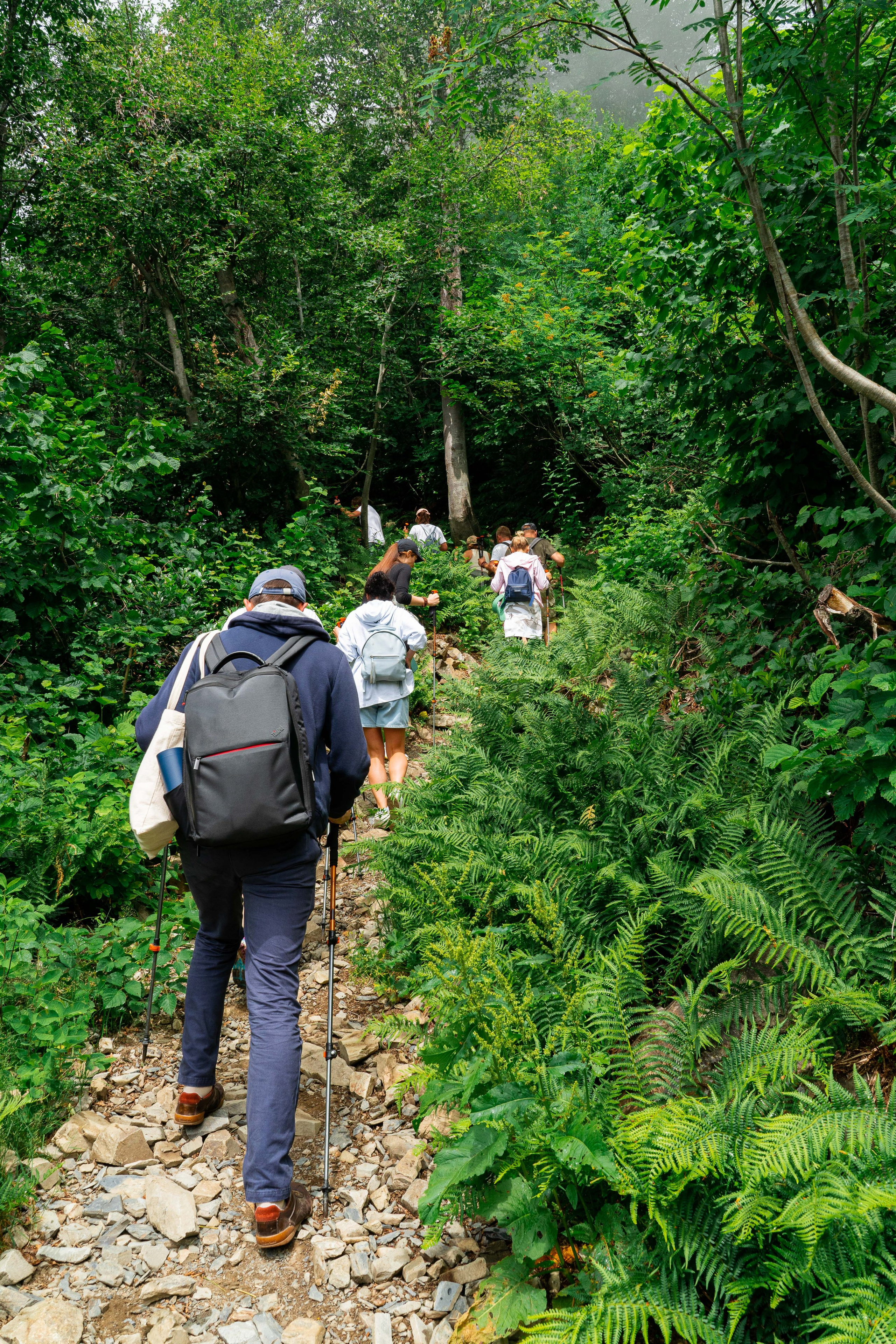 Психологический тренинг на озере Зеркальное. Репортажный фотограф в Красной Поляне и Сочи Павлюченко Екатерина