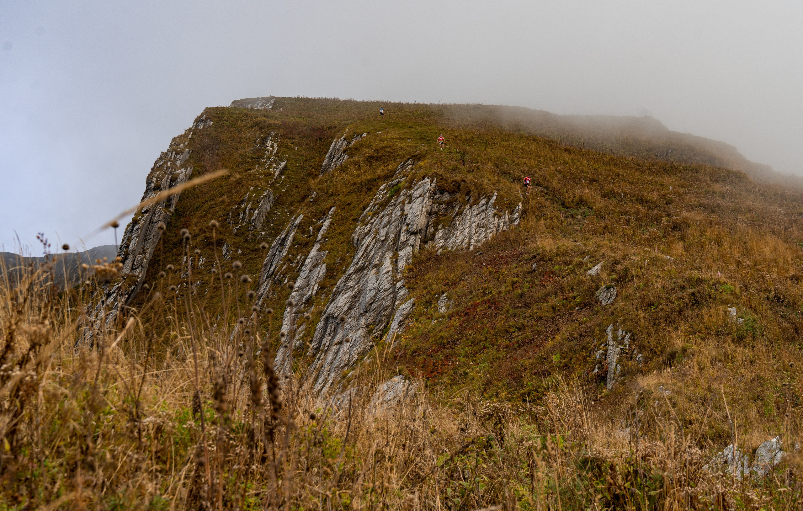 Трейловый бег «Альпиндустрия. Три курорта''. Репортажный фотограф в Красной Поляне и Сочи Павлюченко Екатерина