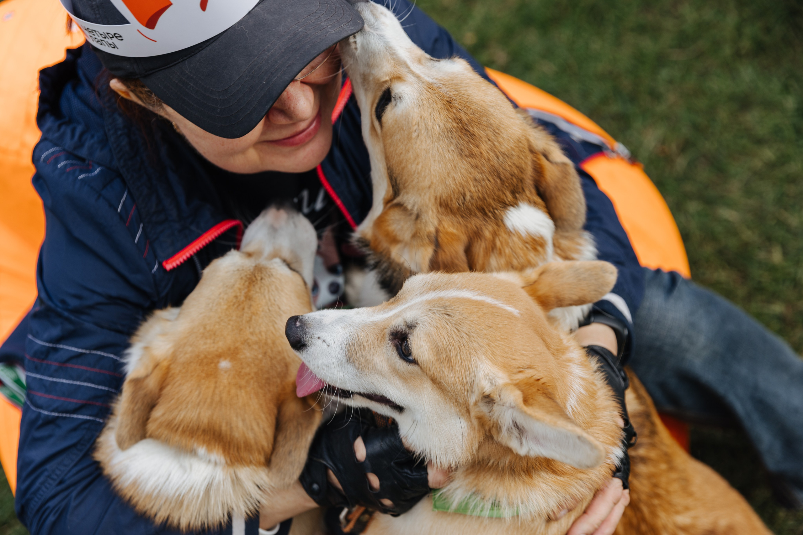 Хвостатый репортаж. Аксана Лисовская фотограф в Москве. Фотографии с характером
