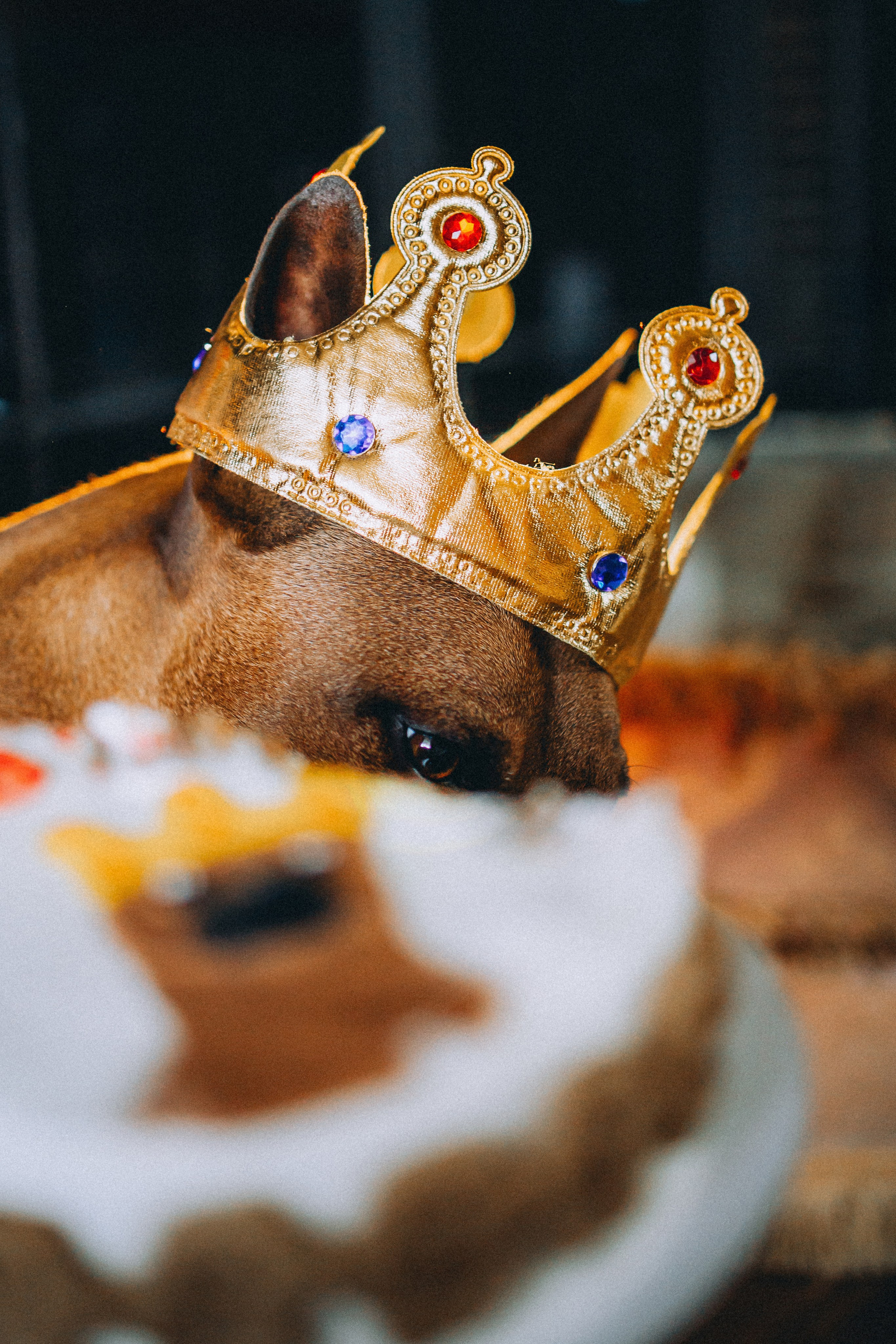 Оксана и Зевс