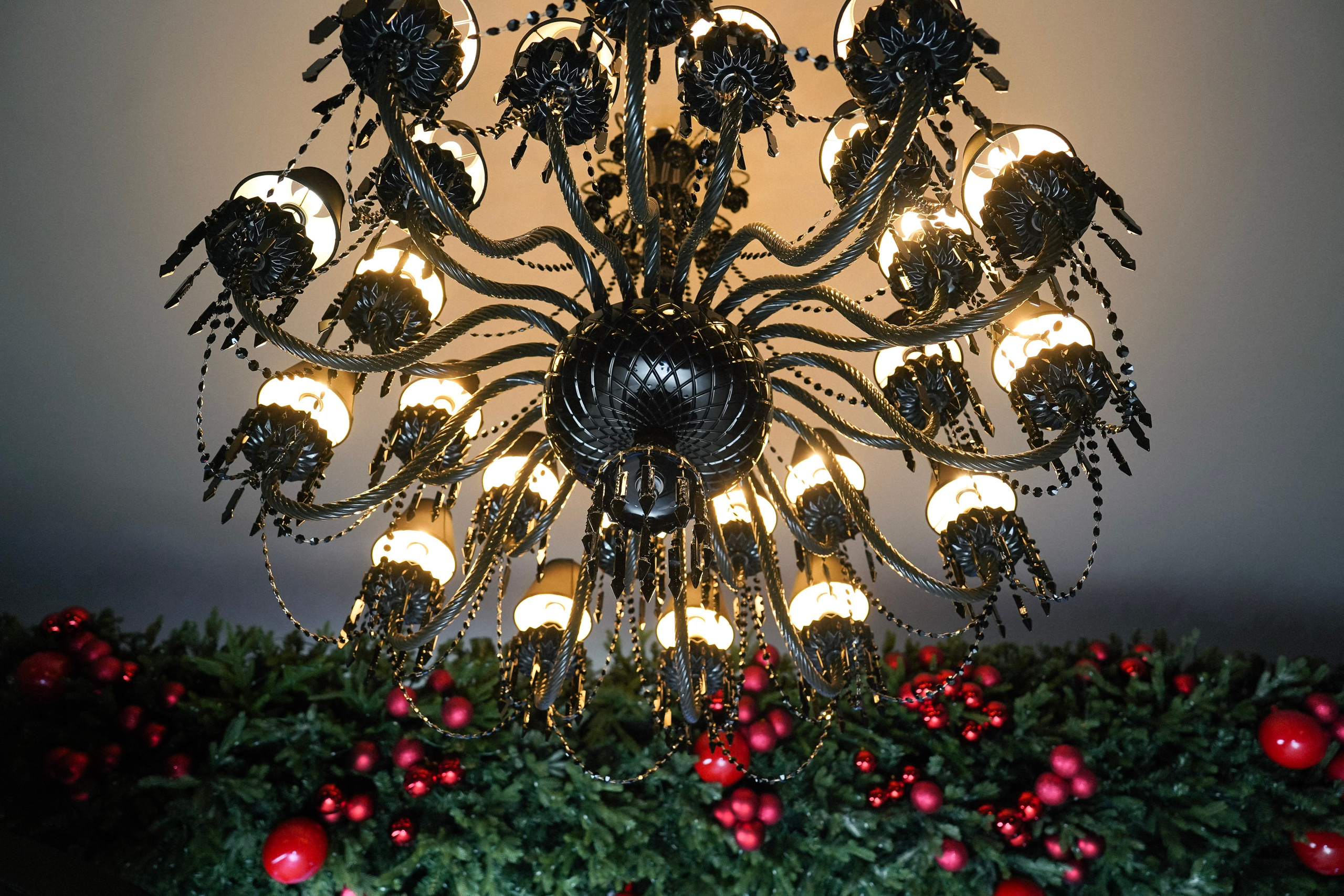 Инсити / Эндемик. Фотограф с психологическим образованием