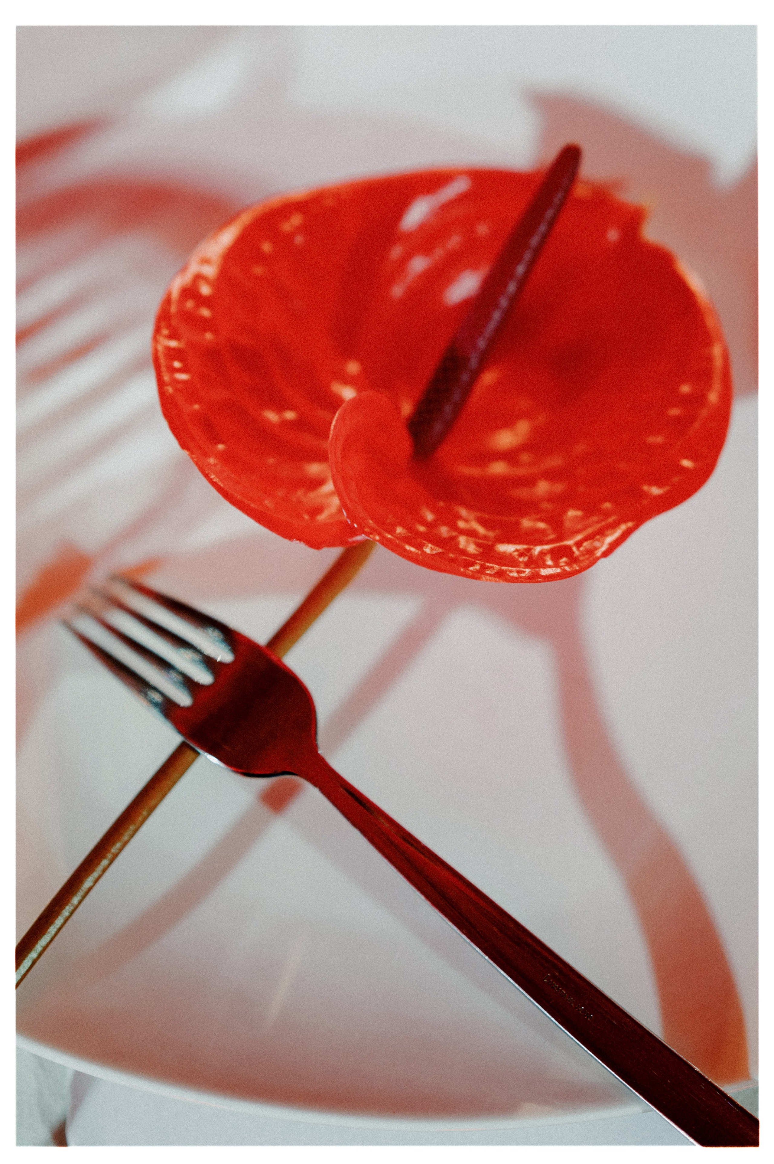 ЛЮБОВЬ КРАСНА. Свадебный и семейный фотограф Никита Корохов