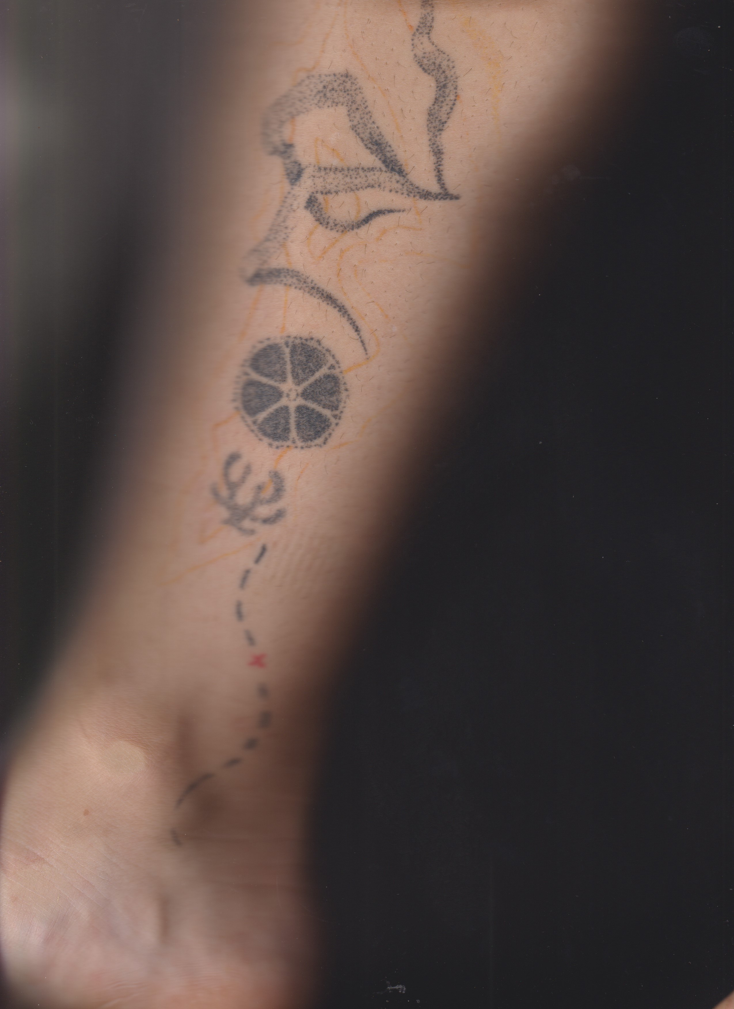 SEDIMENTS AND FOSSILS. Xexexena.ru