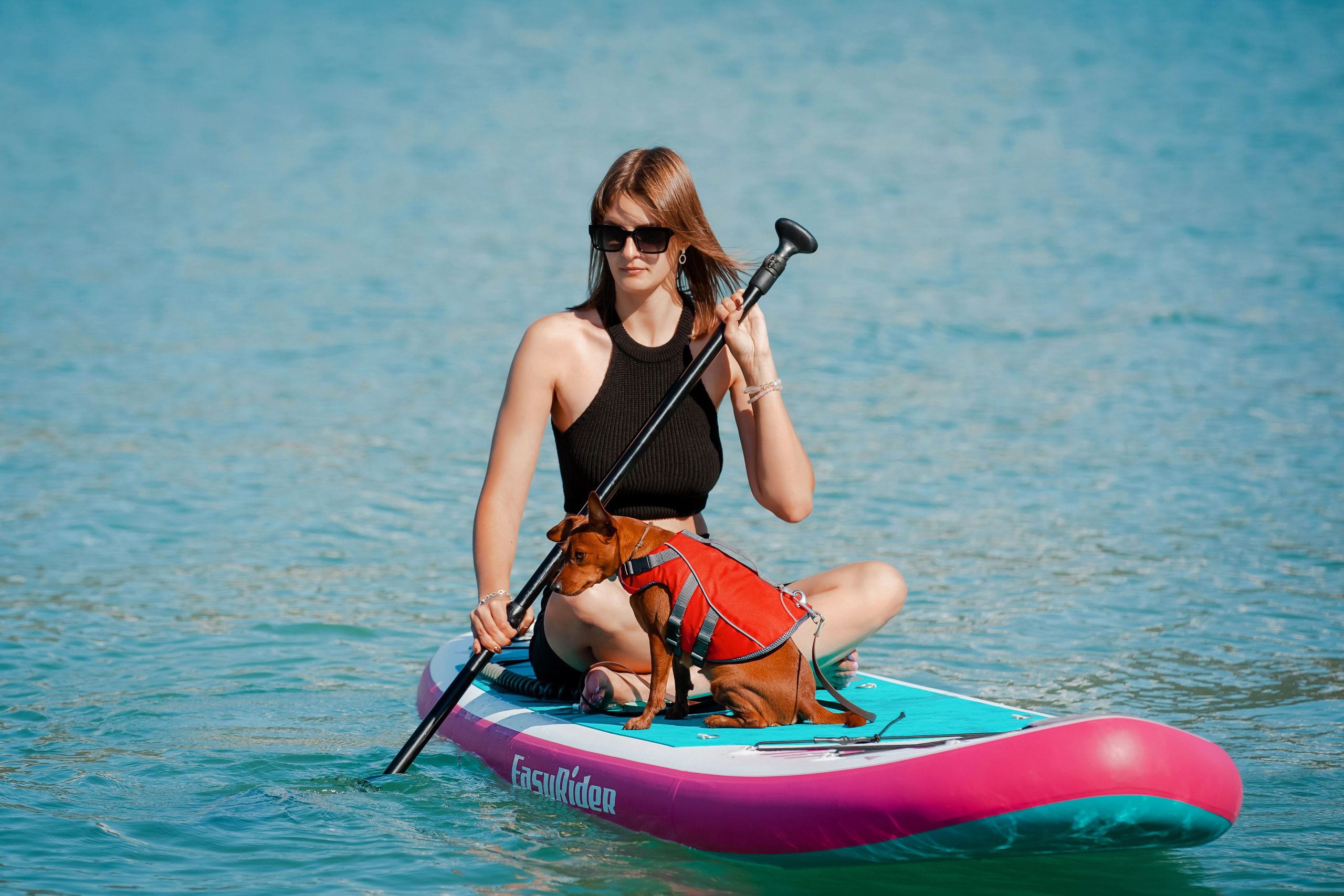 Цвергпинчер в Геленджике. Фотограф-анималист в Краснодаре Маша Мельникова