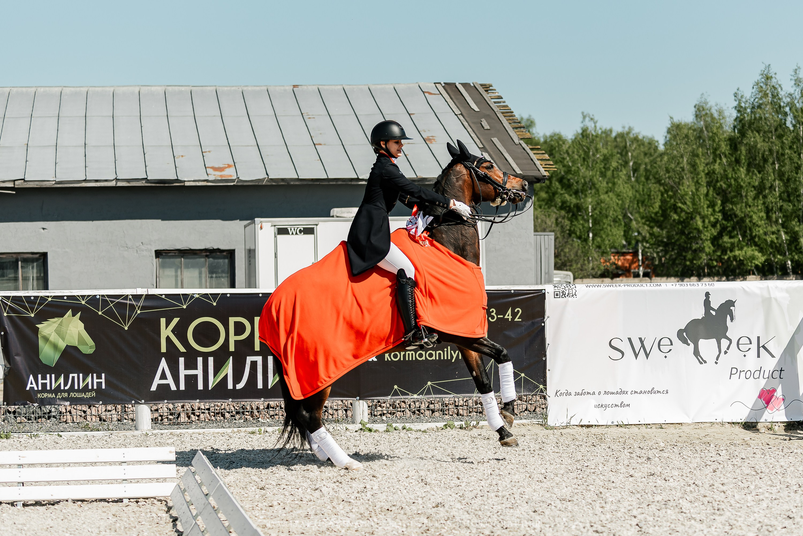 РЕПОРТАЖ МКК ВОЛЬТ «LA TULIPS». Конный фотограф Куракина Дарья • Фотосессии с лошадьми