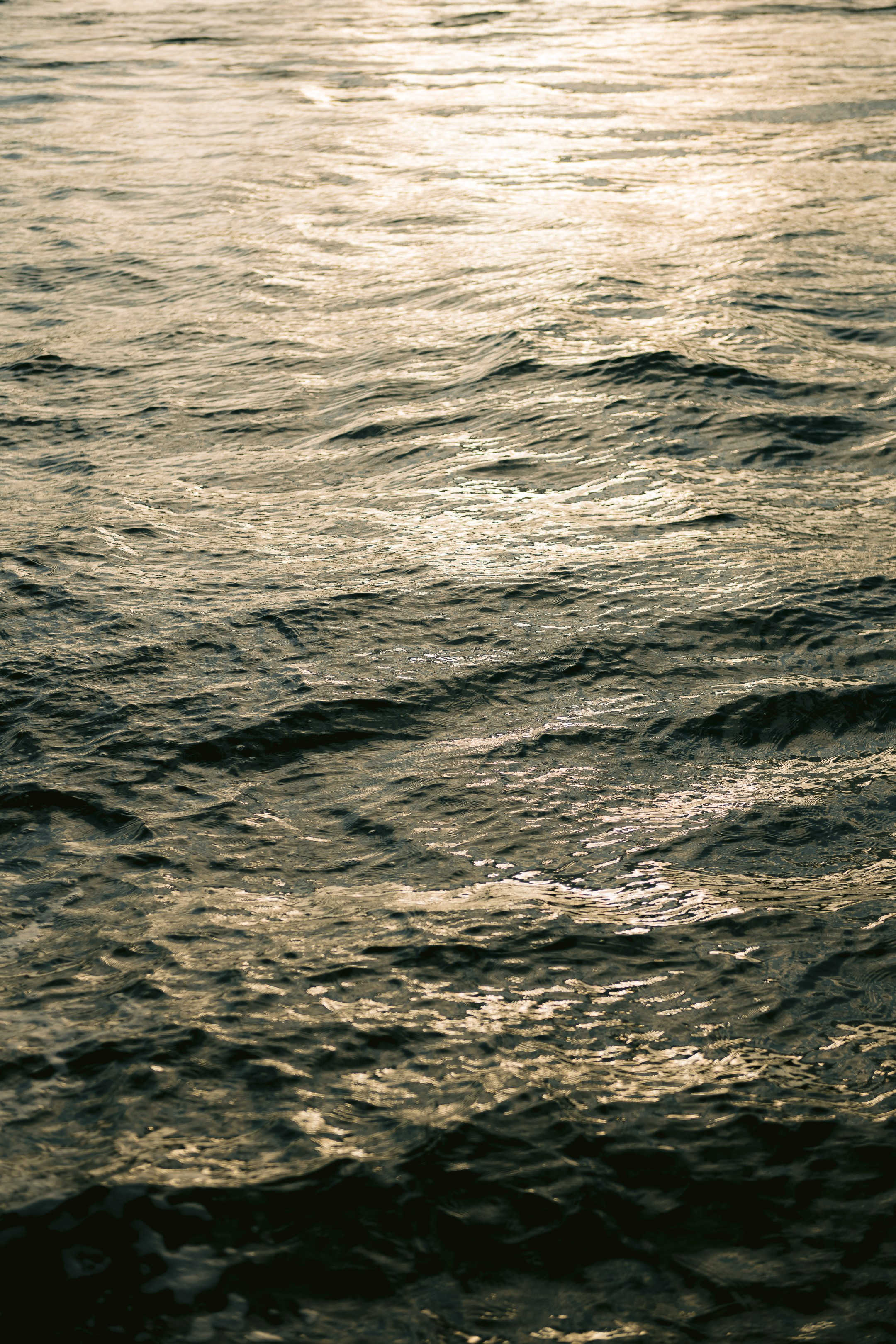 Gleb & Alexandra. Свадебный фотограф в Краснодаре