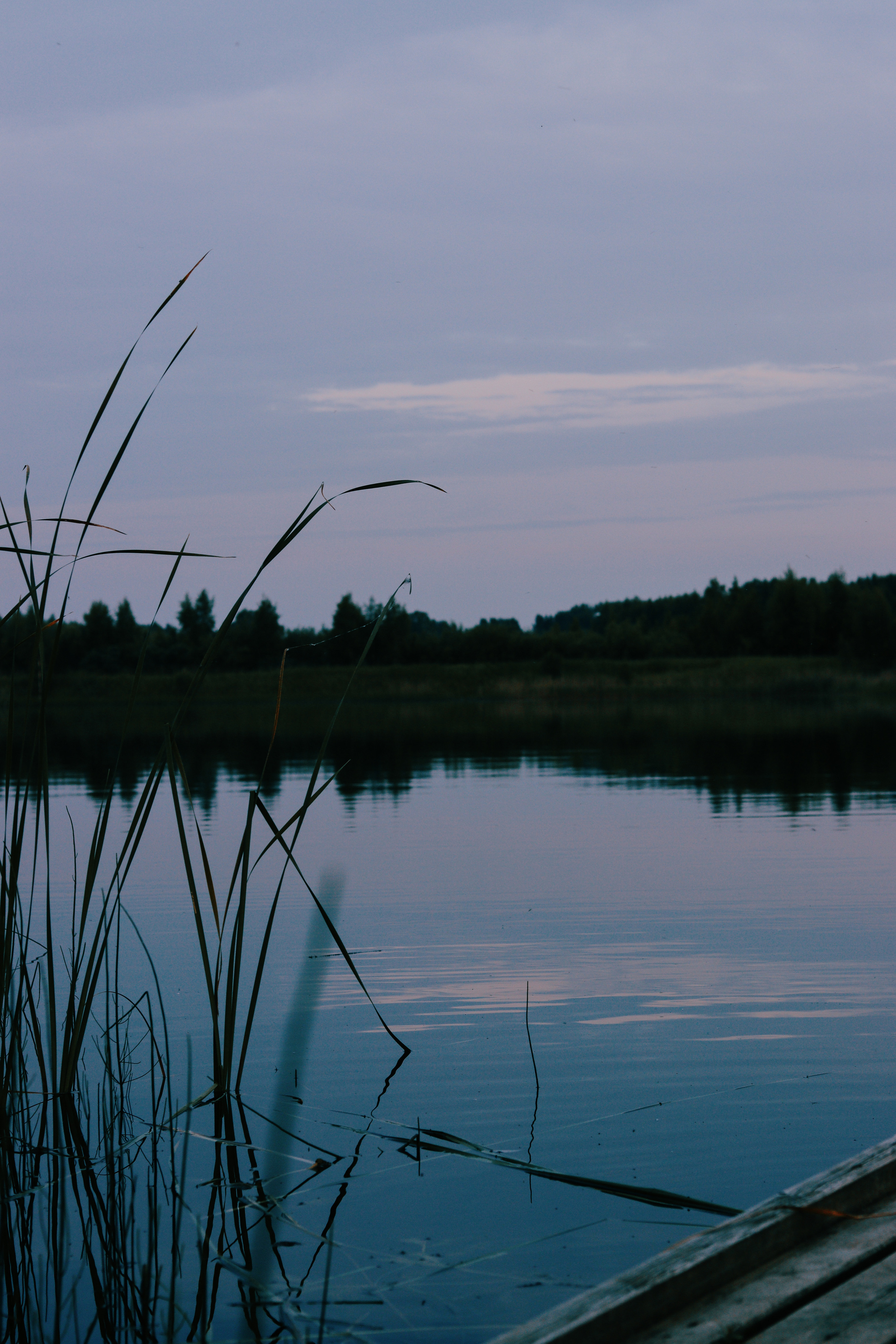 Вспоминай и вдыхай. 