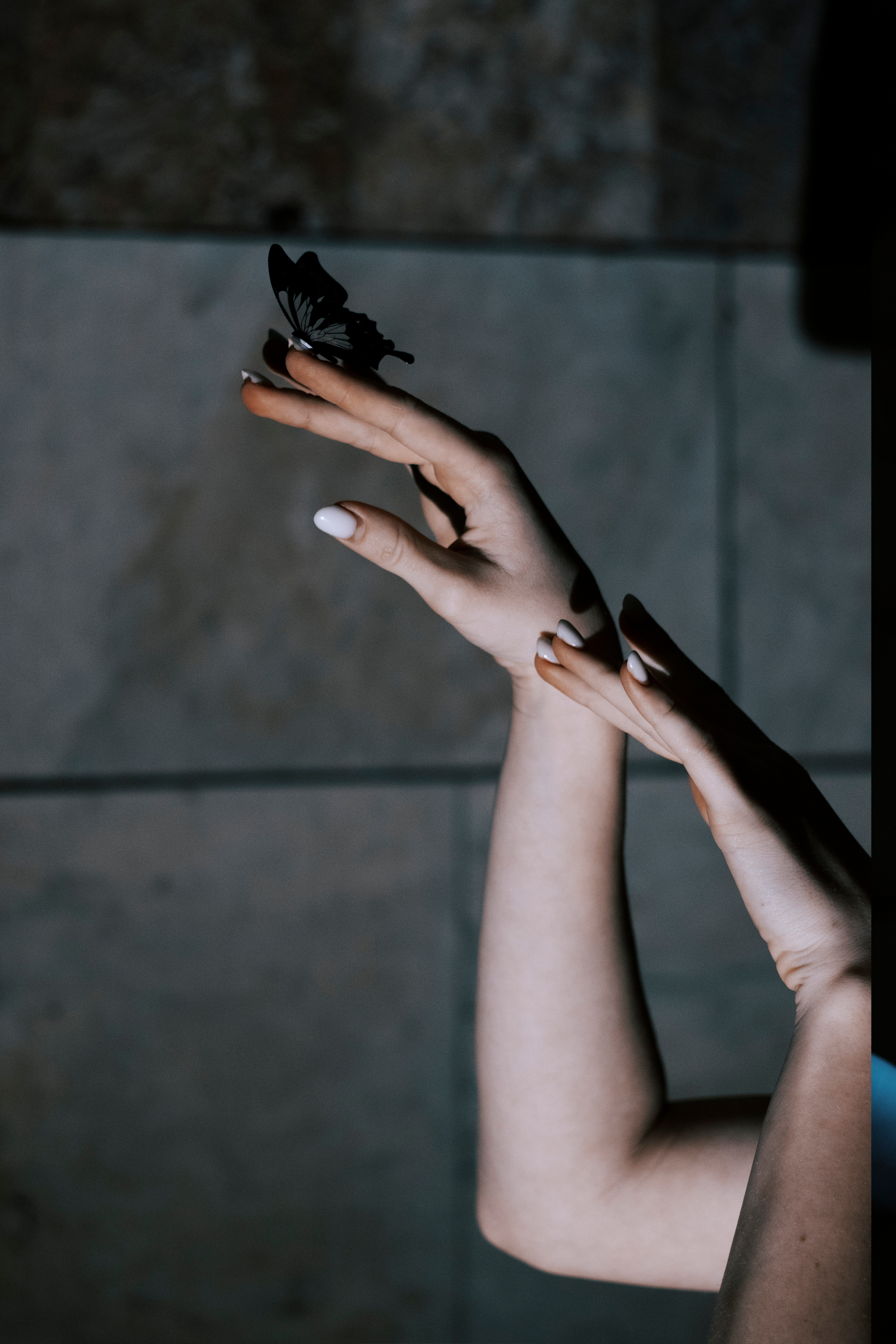 Поездами к тебе. 