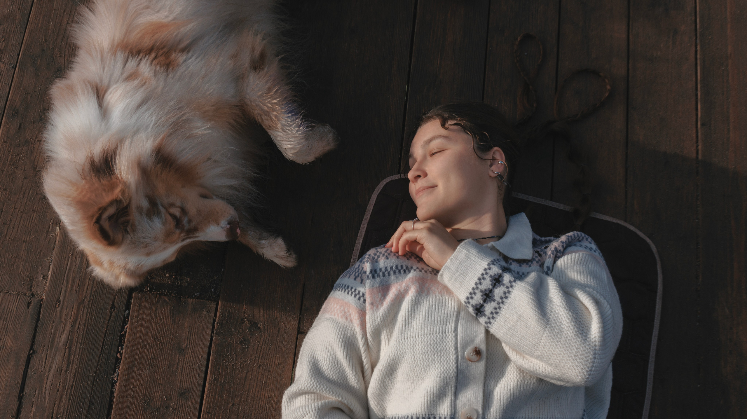 Летний рассвет с Майроном и Ланой. Стас Соболь, фотограф анималист, репортажник, Москва