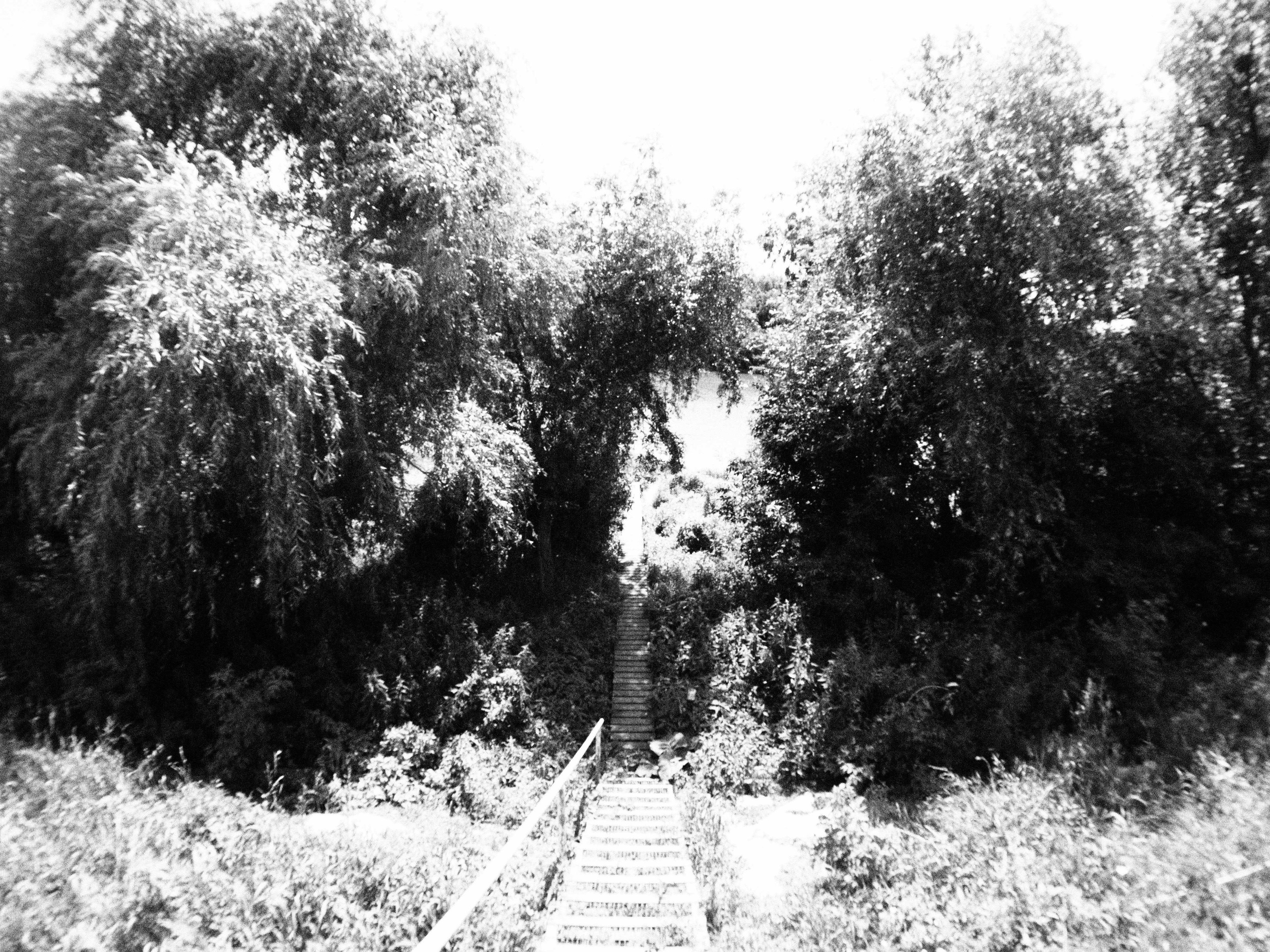 Промежуточные моменты (2023)