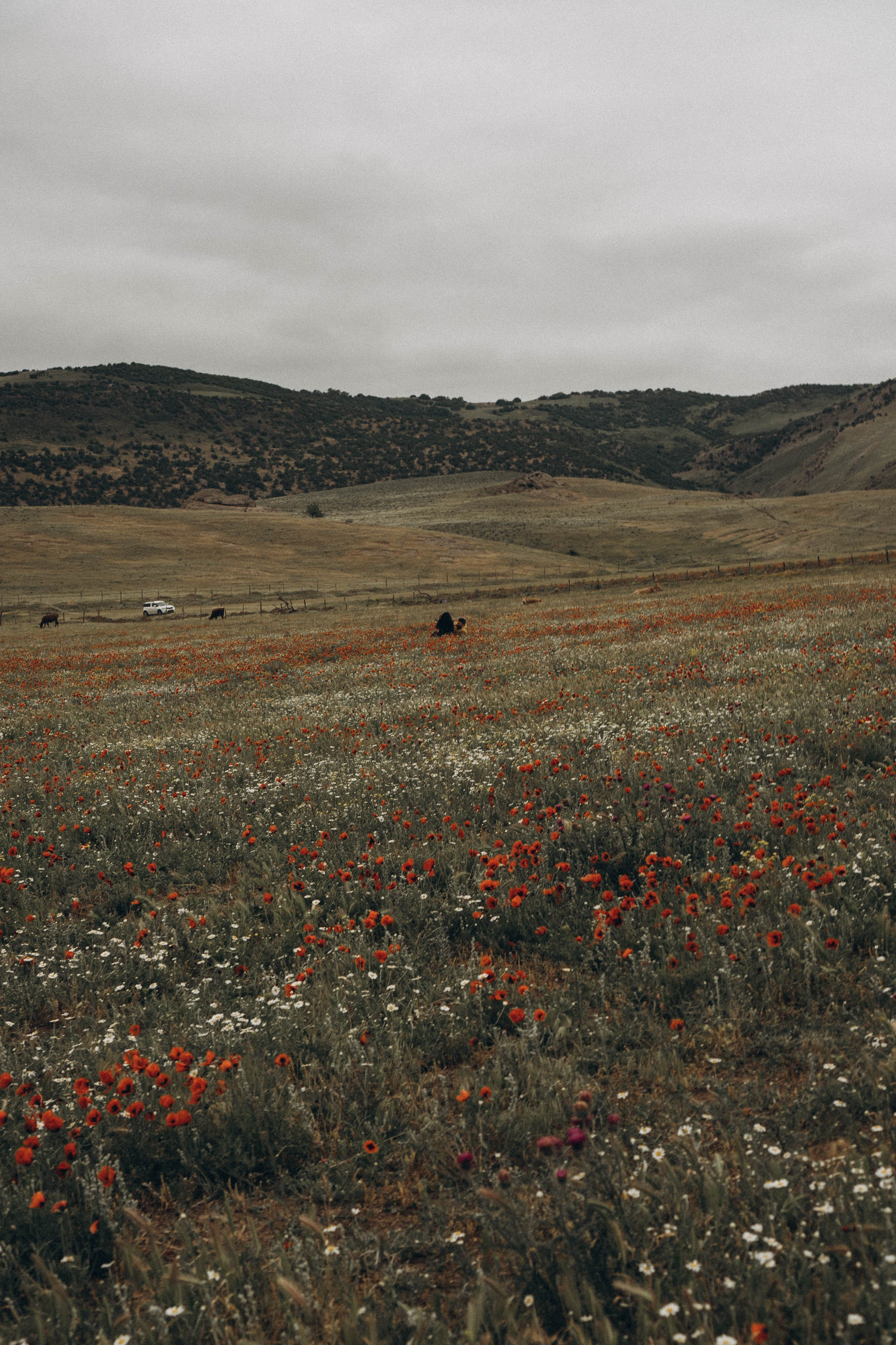 Путешествие в Дагестане. Профессиональный фотограф, Санкт-Петербург — Виктория Богомолова