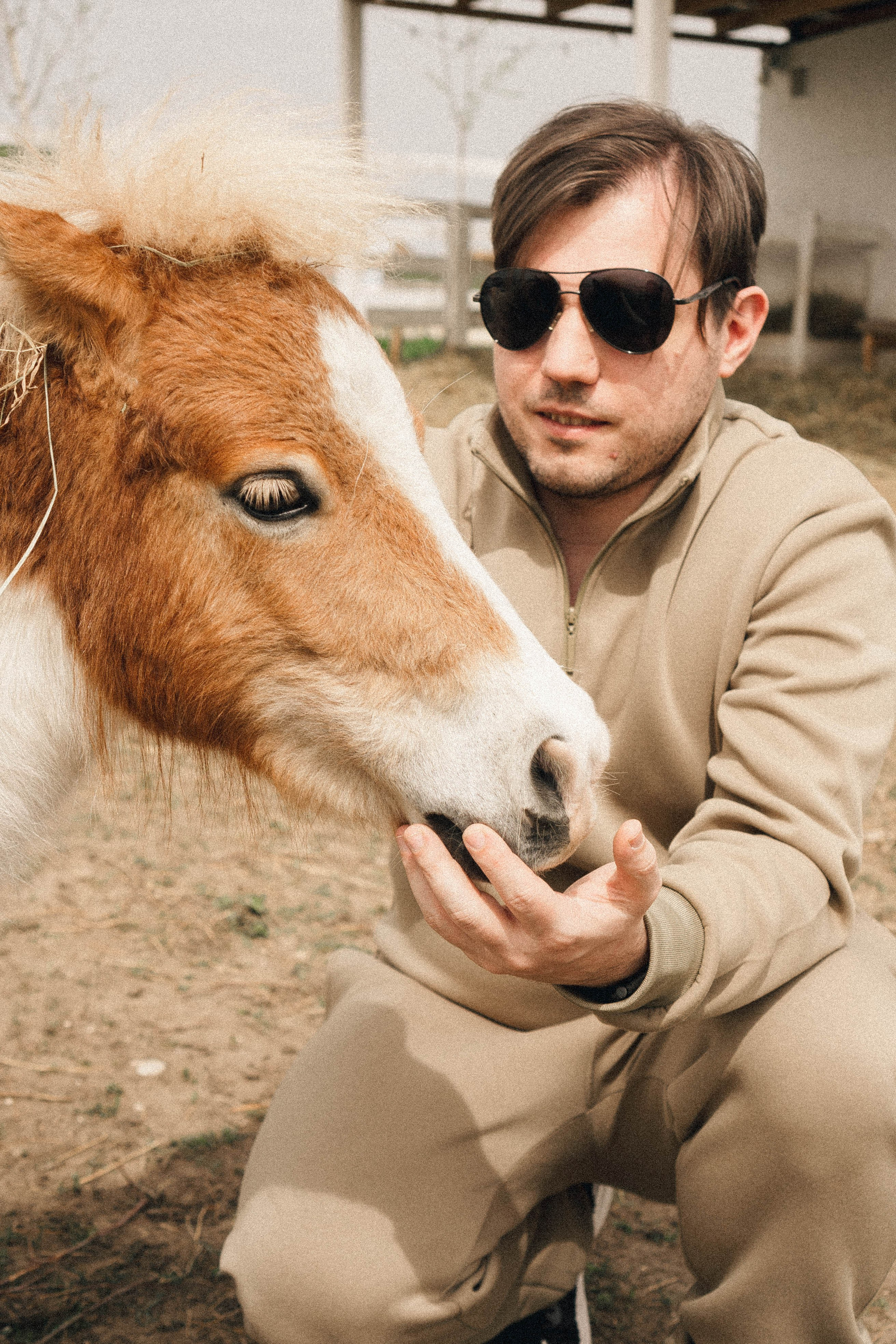 Ферма Альпак. Профессиональный фотограф, Санкт-Петербург — Виктория Богомолова