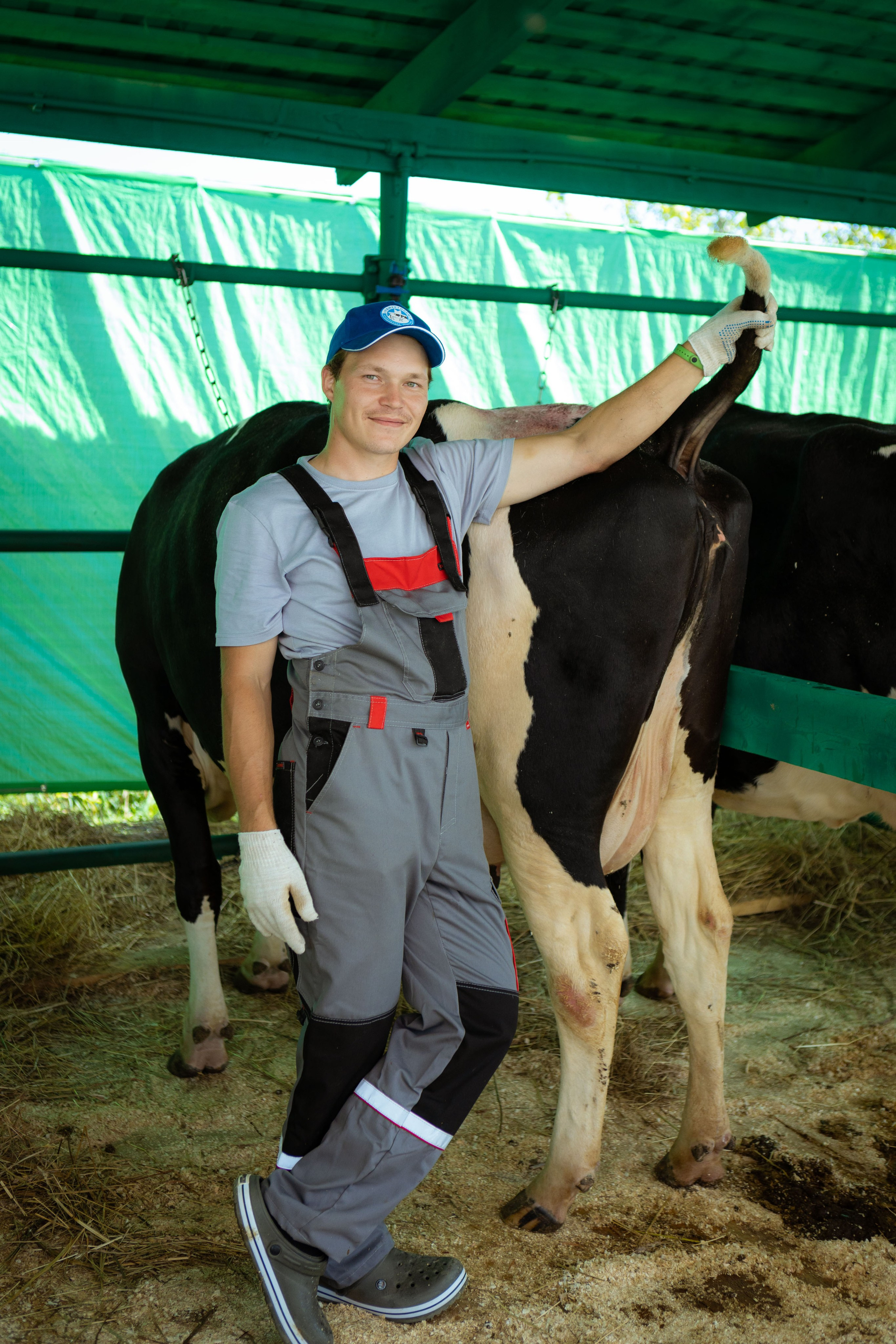 Конкурс операторов осеменения коров [17-18 августа 2022 г.]. Фотограф Виноградов Константин