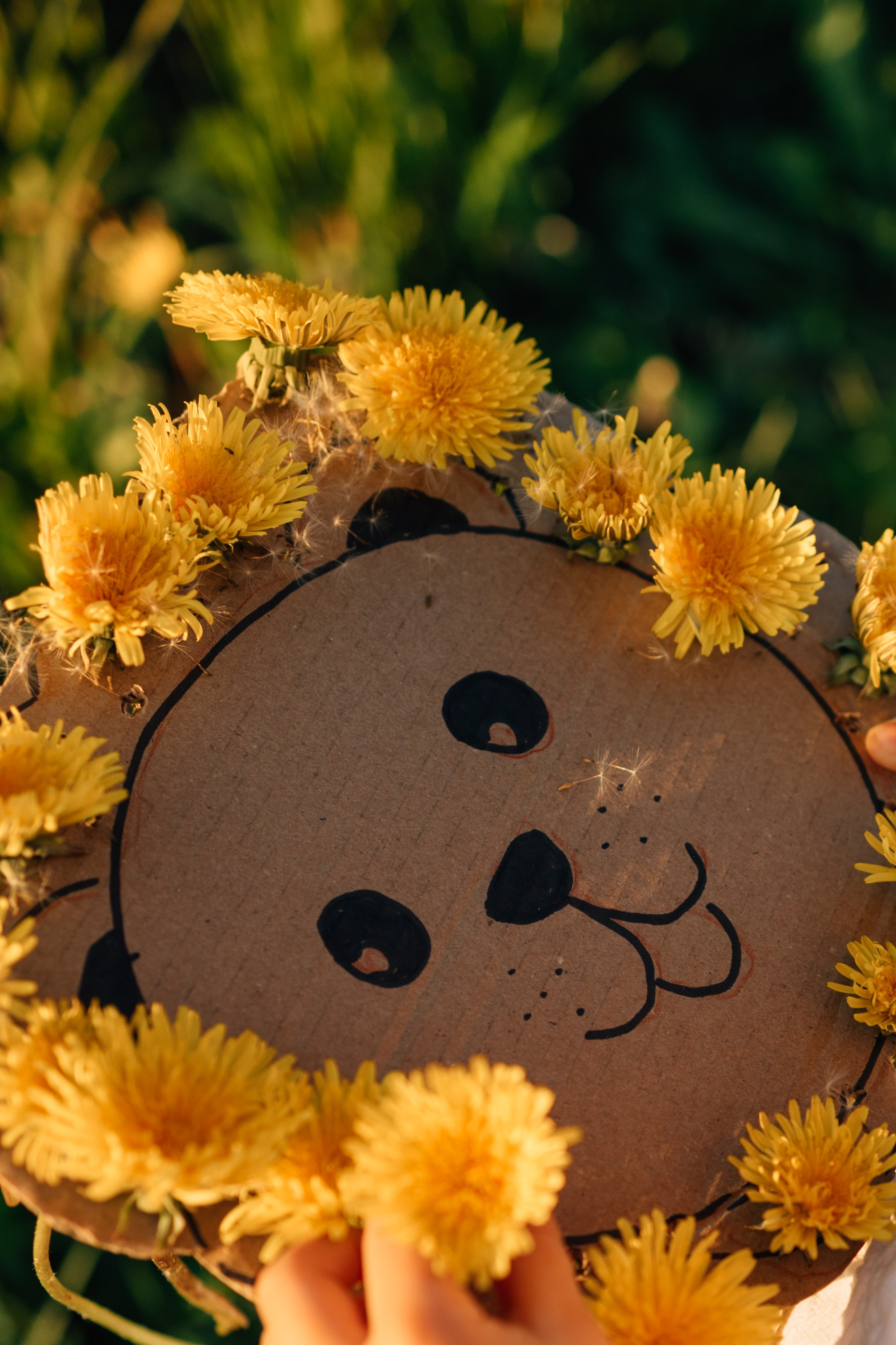 Солнечные львята. Фотограф Москва Светлана Кирюшина