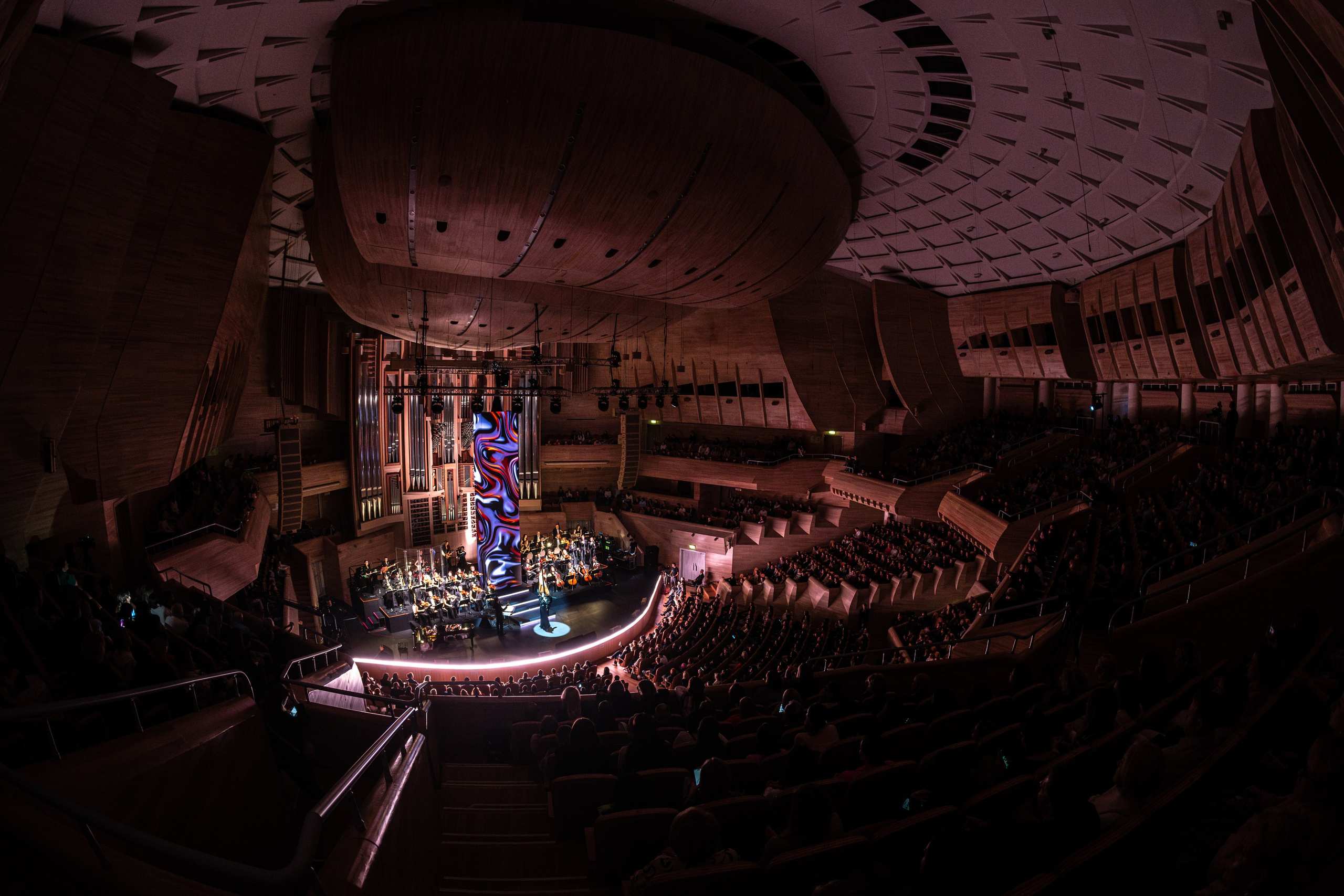 ALSOU / 2024. OOPS TEAM