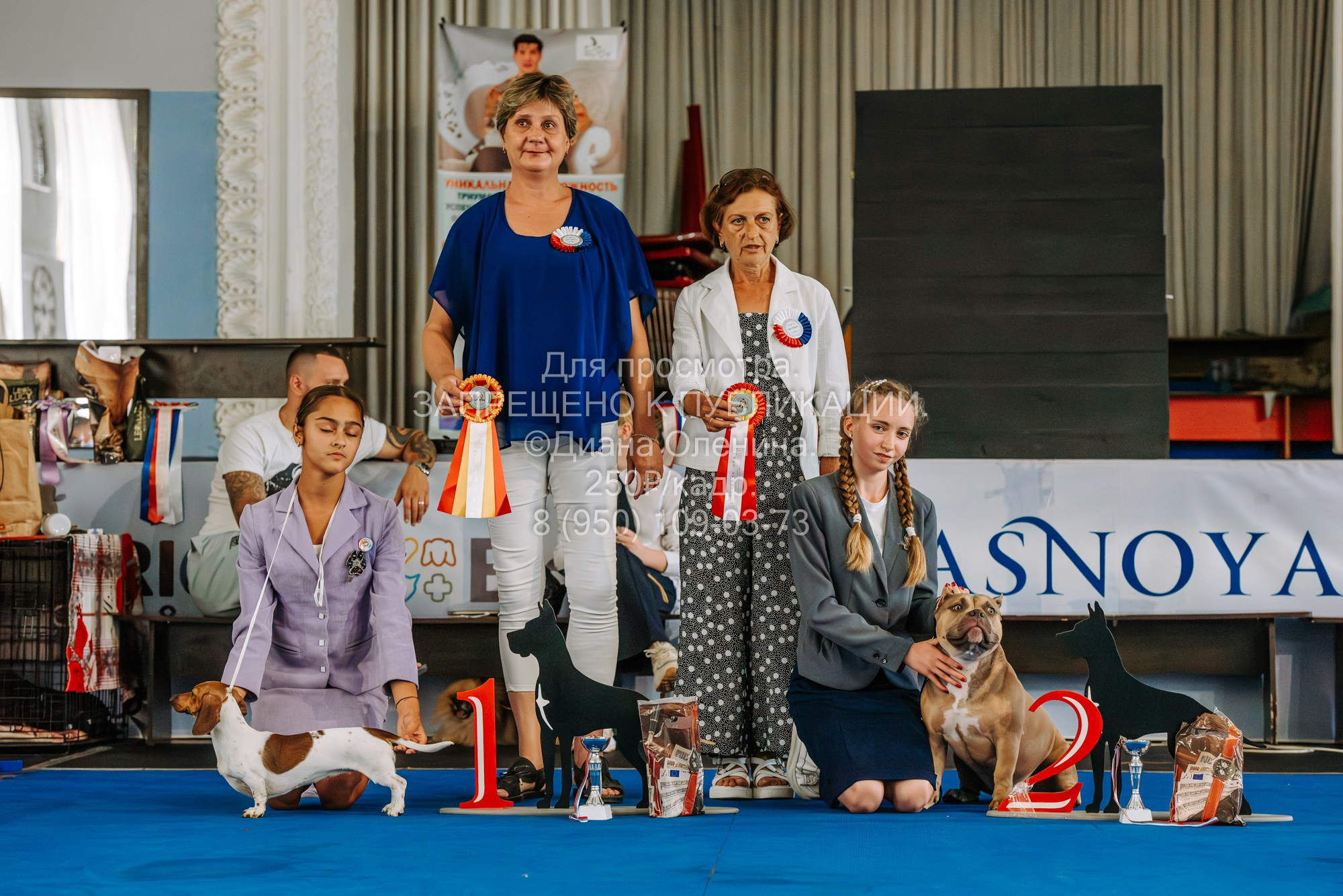 Национальная выставка собак всех пород ранга САС-IKU «Кубок Красноярск. Фотограф Диана Оленина Красноярск / Братск