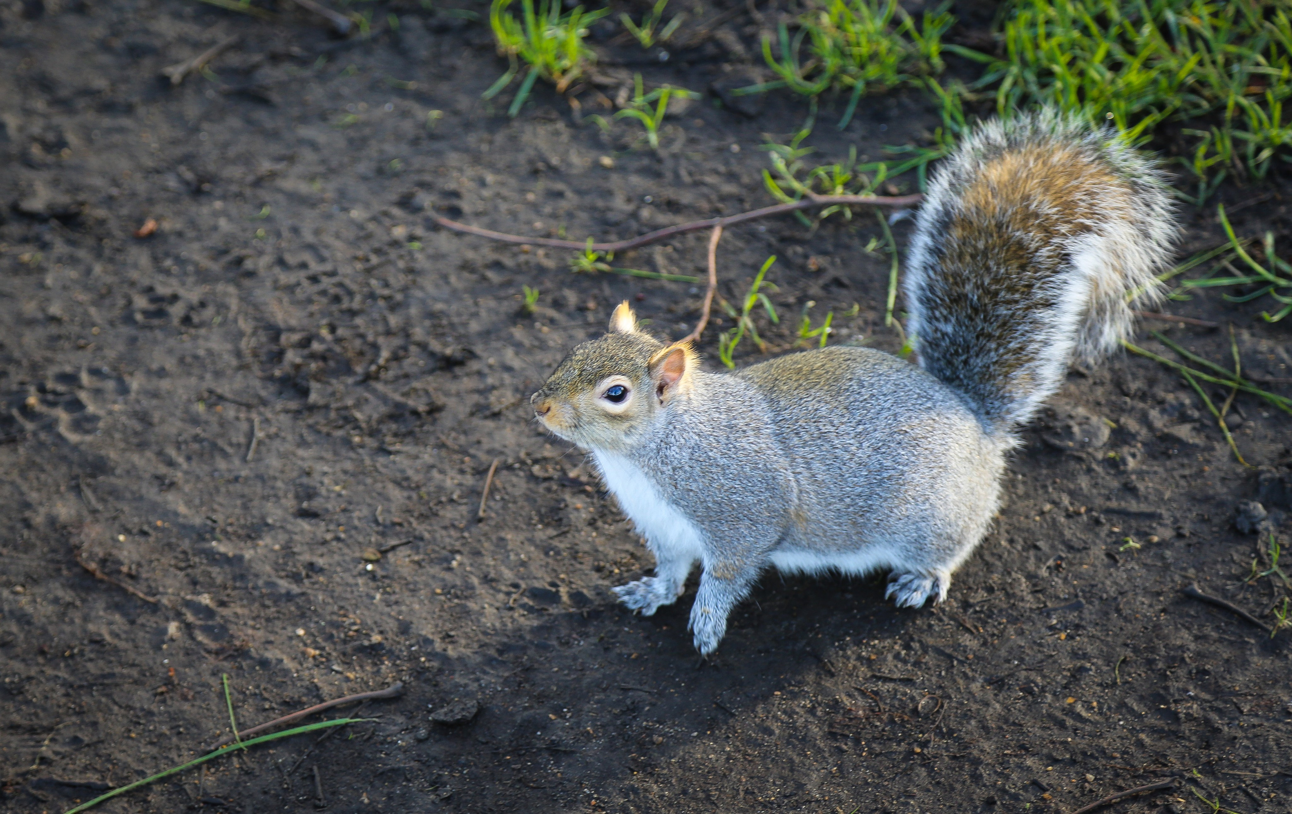 Англия: Пролог. Дарья Письменюк / Darya Leitstern — фотограф, музыкант, журналист, путешественник