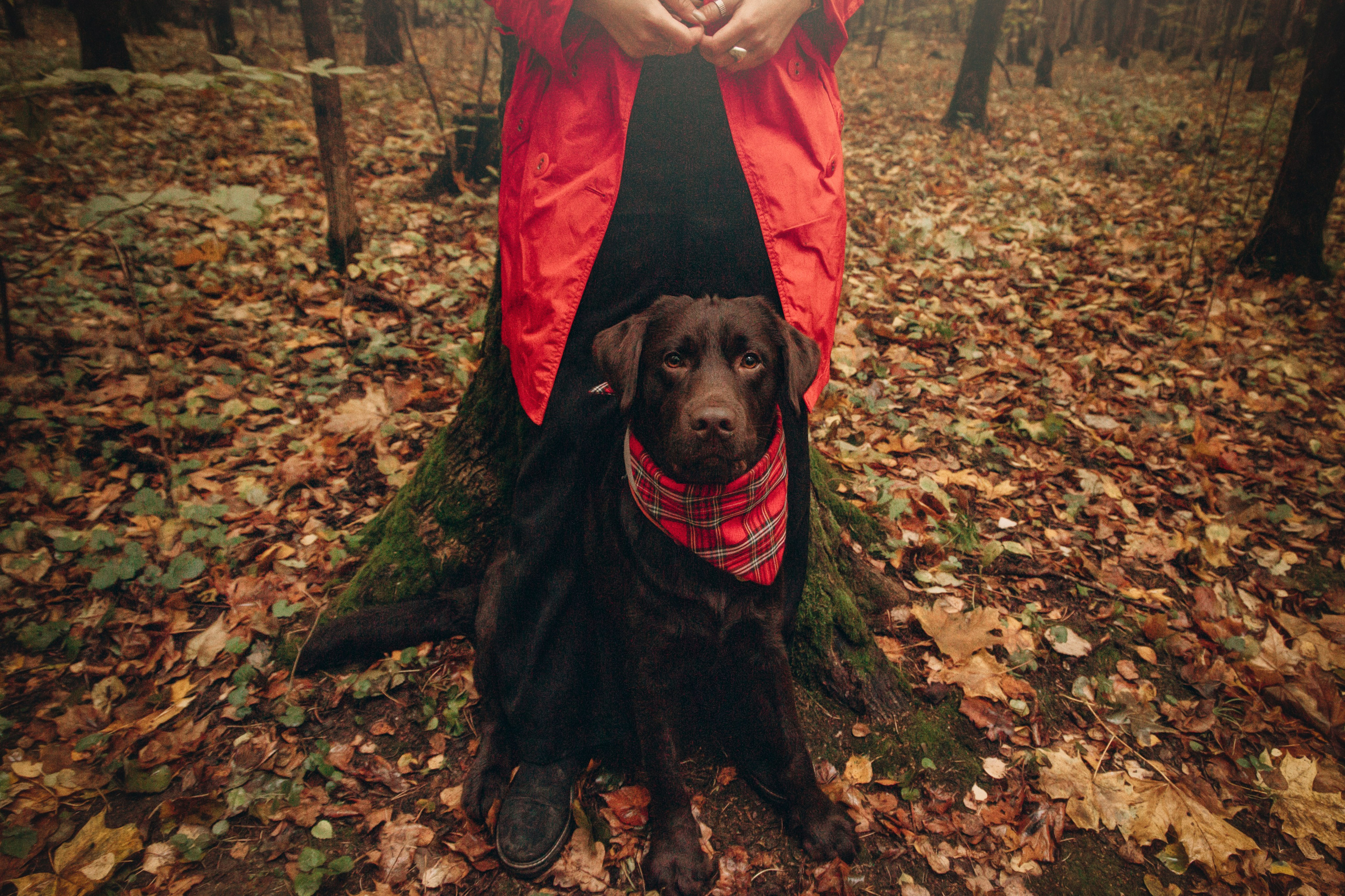 Арина и Сэмми. Фотограф — Анималист | Санкт-Петербург