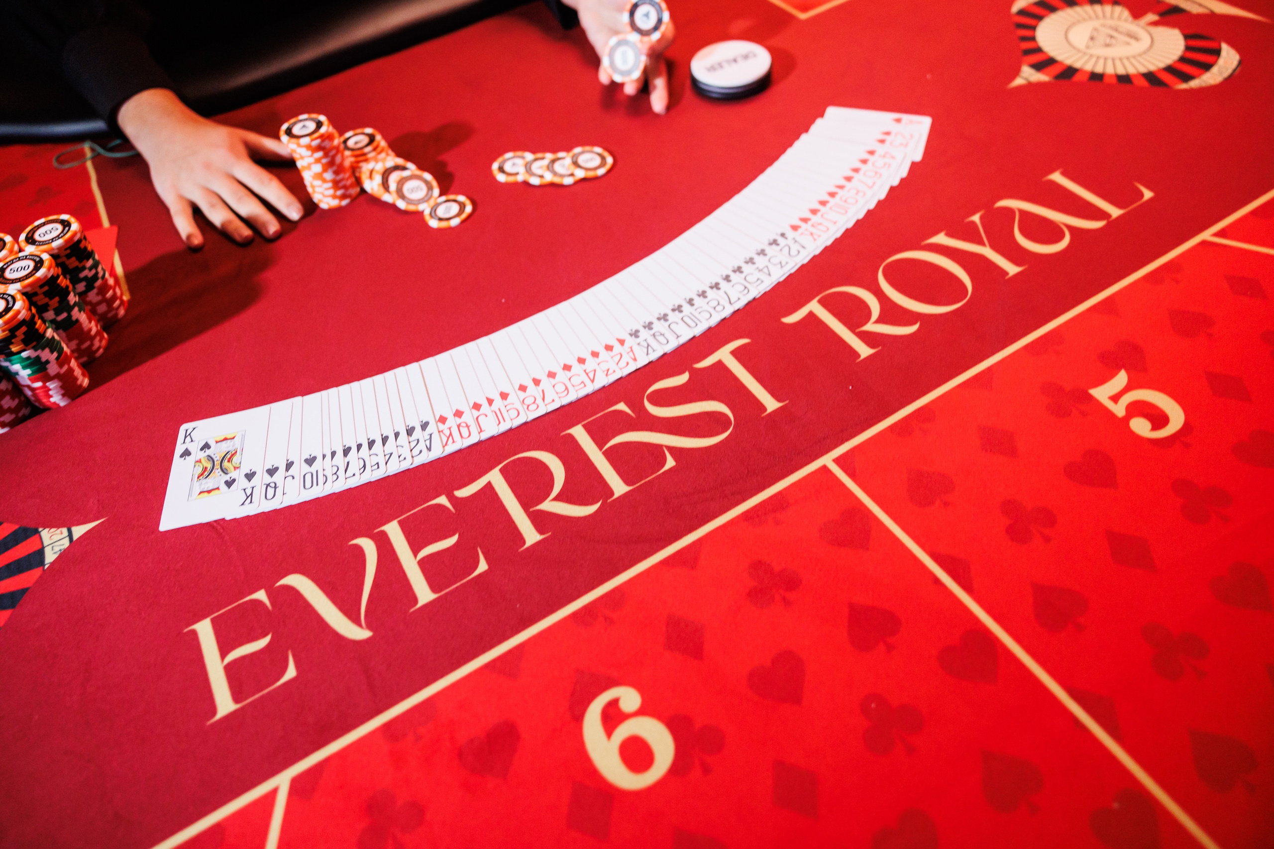 EVEREST ROYAL 10.12.2025. EVEREST PHOTO REPORT