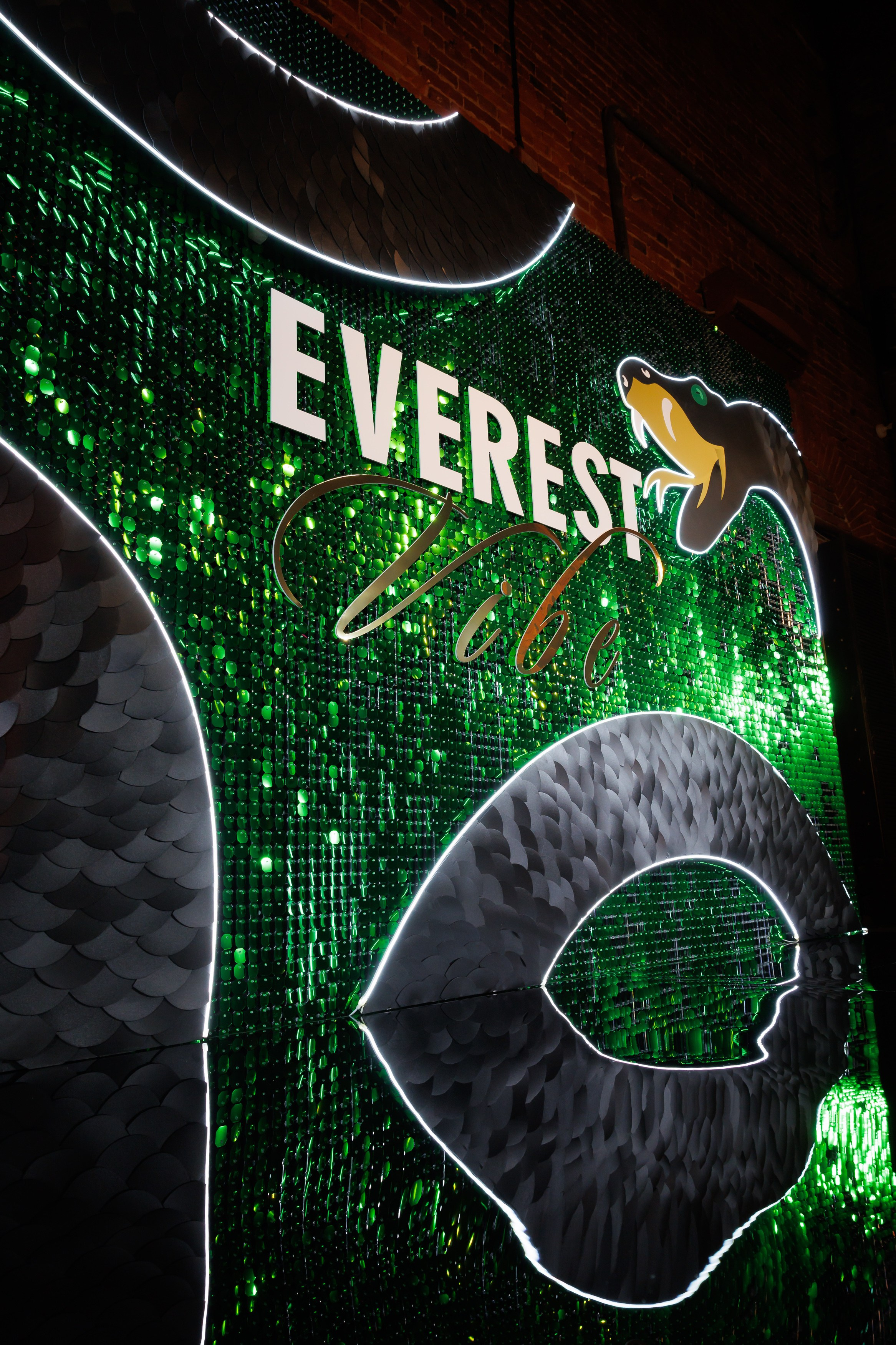 EVEREST VIBE NY «ТОЛЬКО ТС-С-С» 10.12.2024. EVEREST PHOTO REPORT