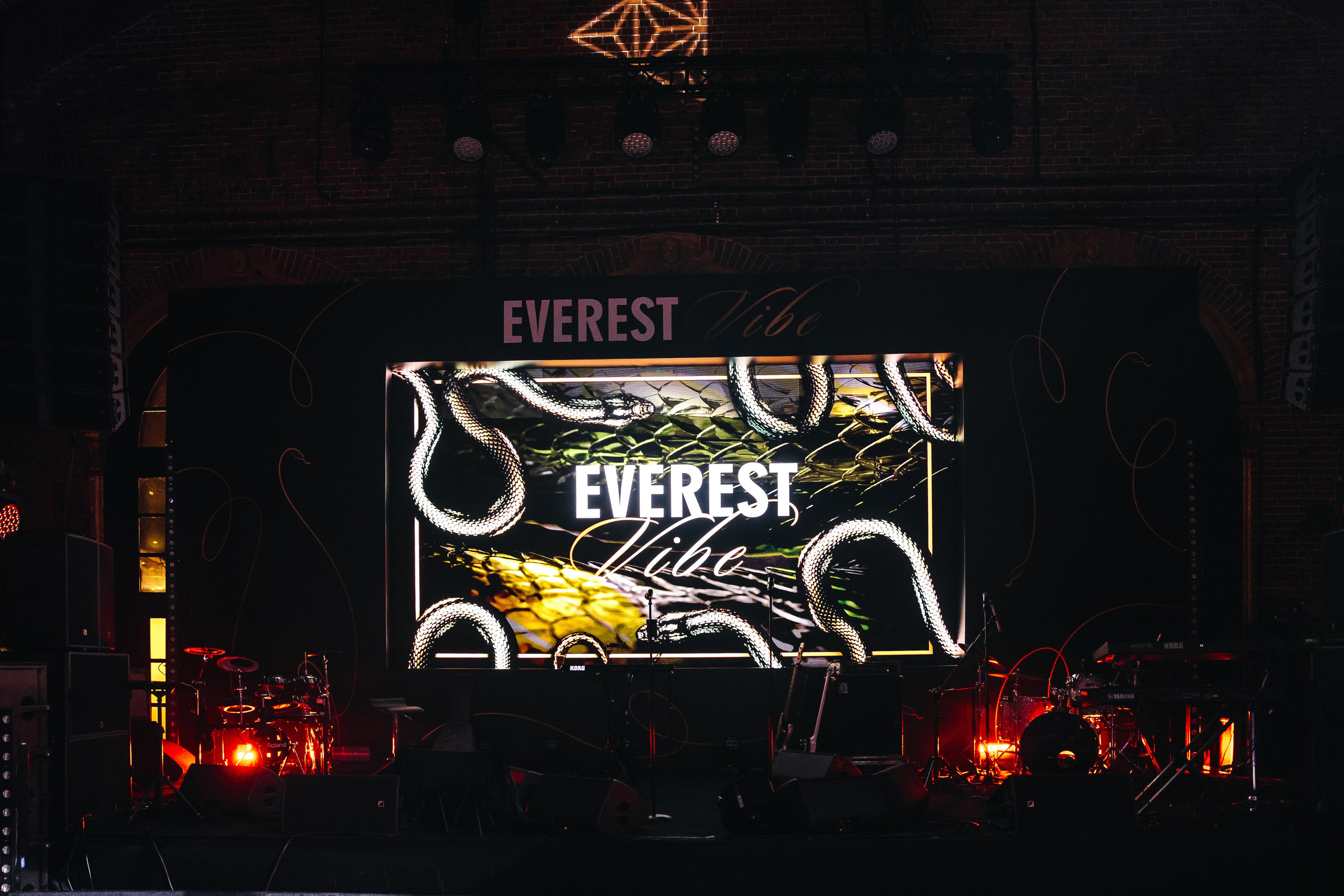 EVEREST VIBE NY «ТОЛЬКО ТС-С-С» 10.12.2024. EVEREST PHOTO REPORT