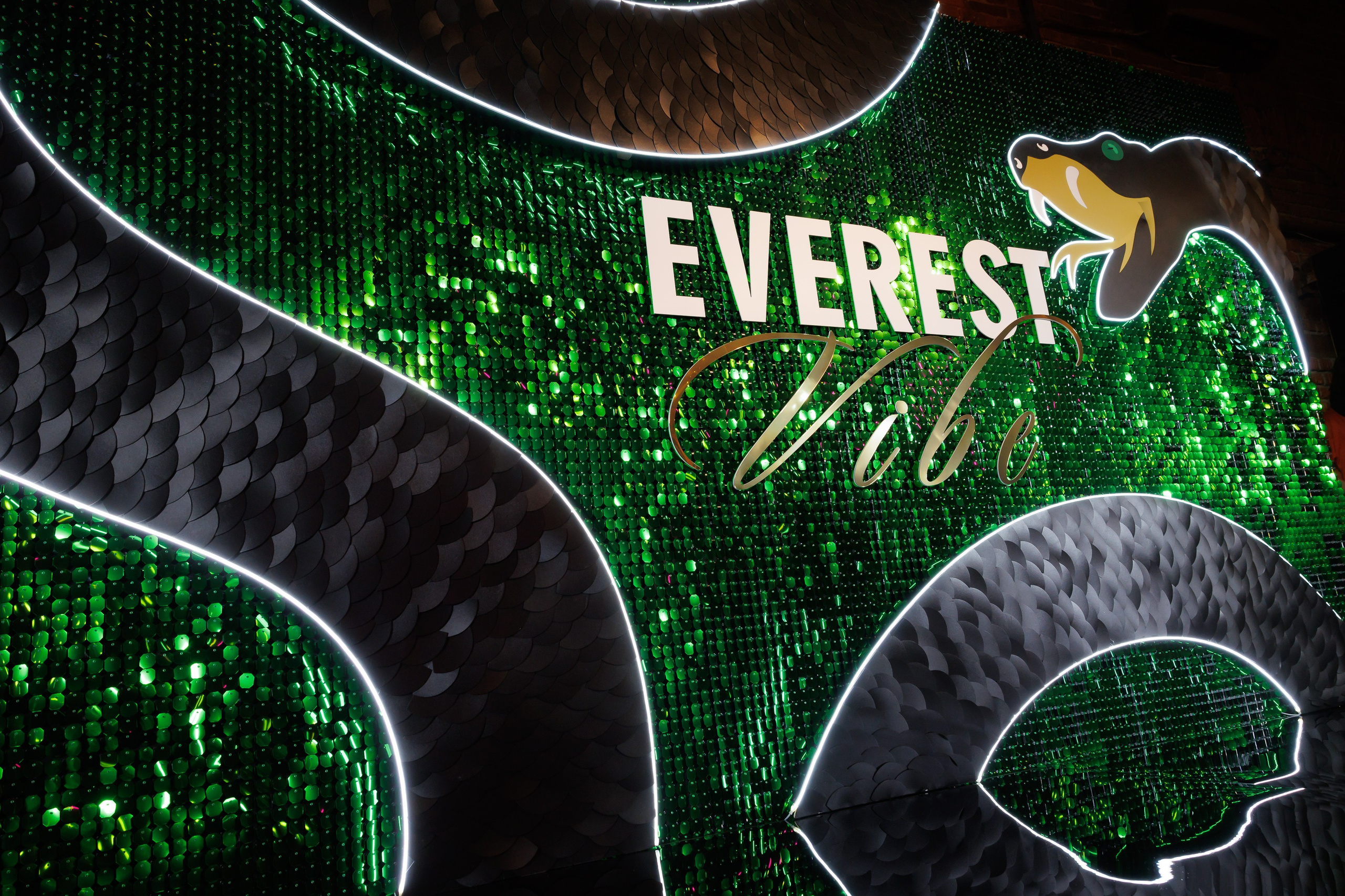 EVEREST VIBE NY «ТОЛЬКО ТС-С-С» 10.12.2024. EVEREST PHOTO REPORT