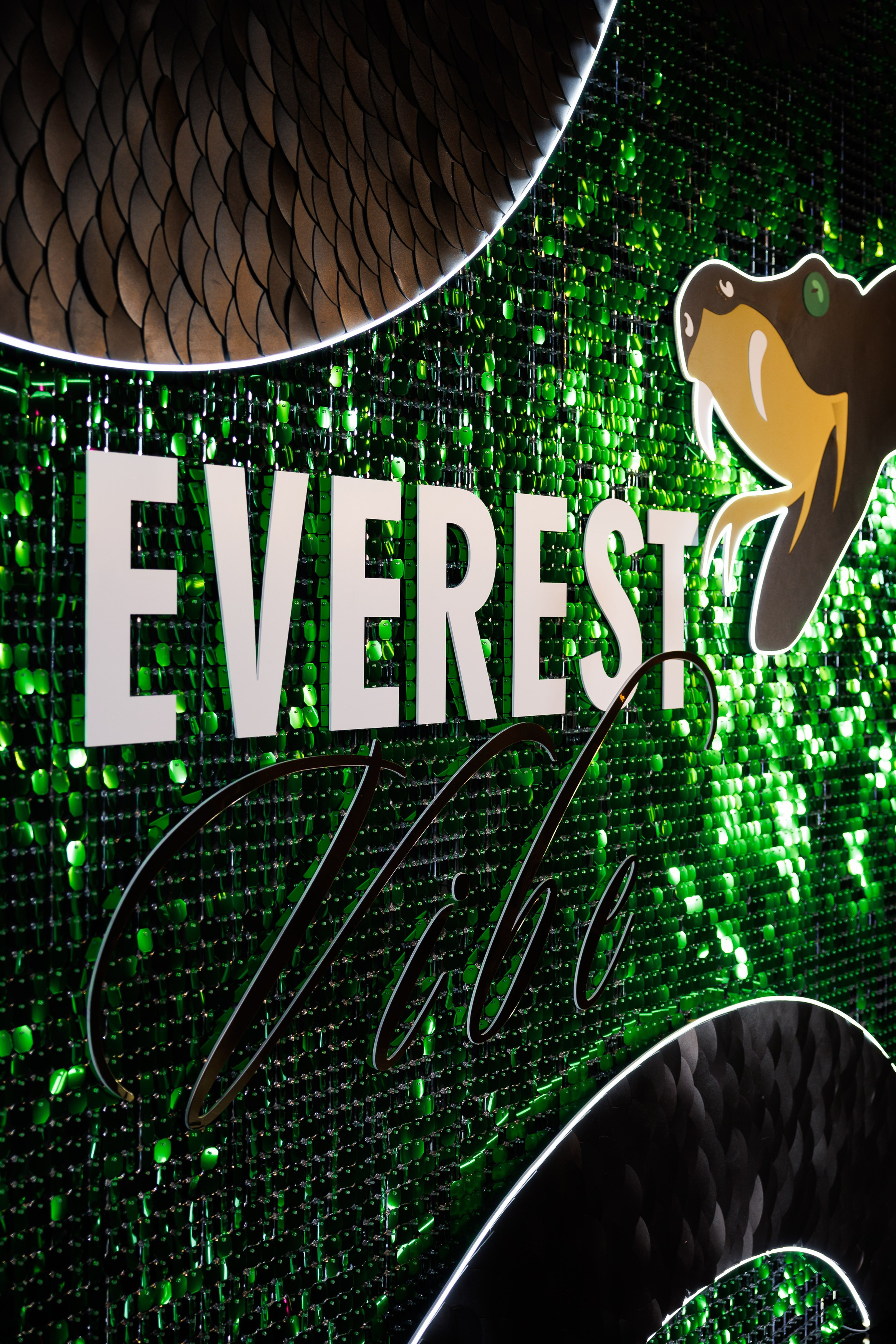 EVEREST VIBE NY «ТОЛЬКО ТС-С-С» 10.12.2024. EVEREST PHOTO REPORT