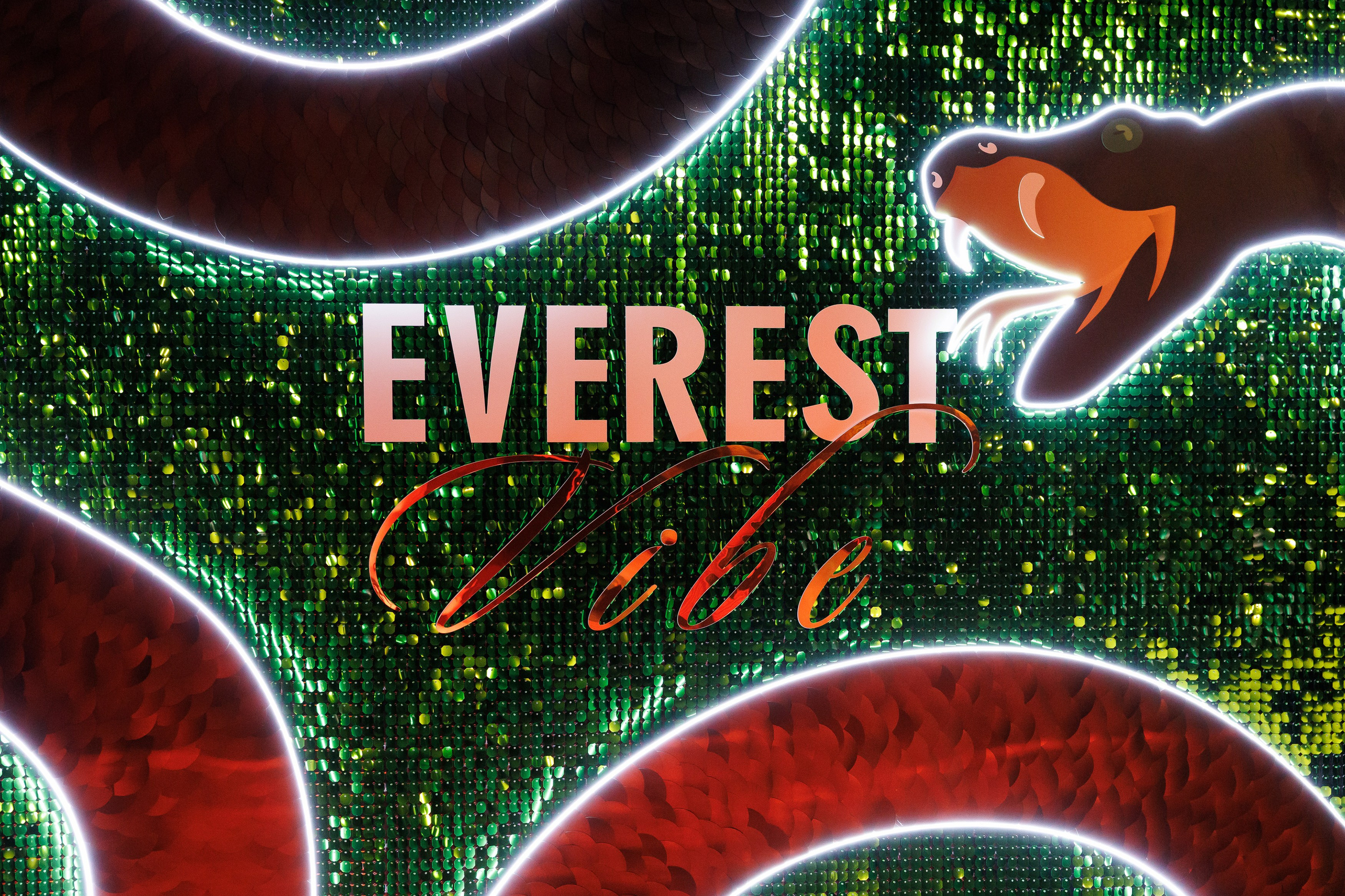 EVEREST VIBE NY «ТОЛЬКО ТС-С-С» 10.12.2024. EVEREST PHOTO REPORT