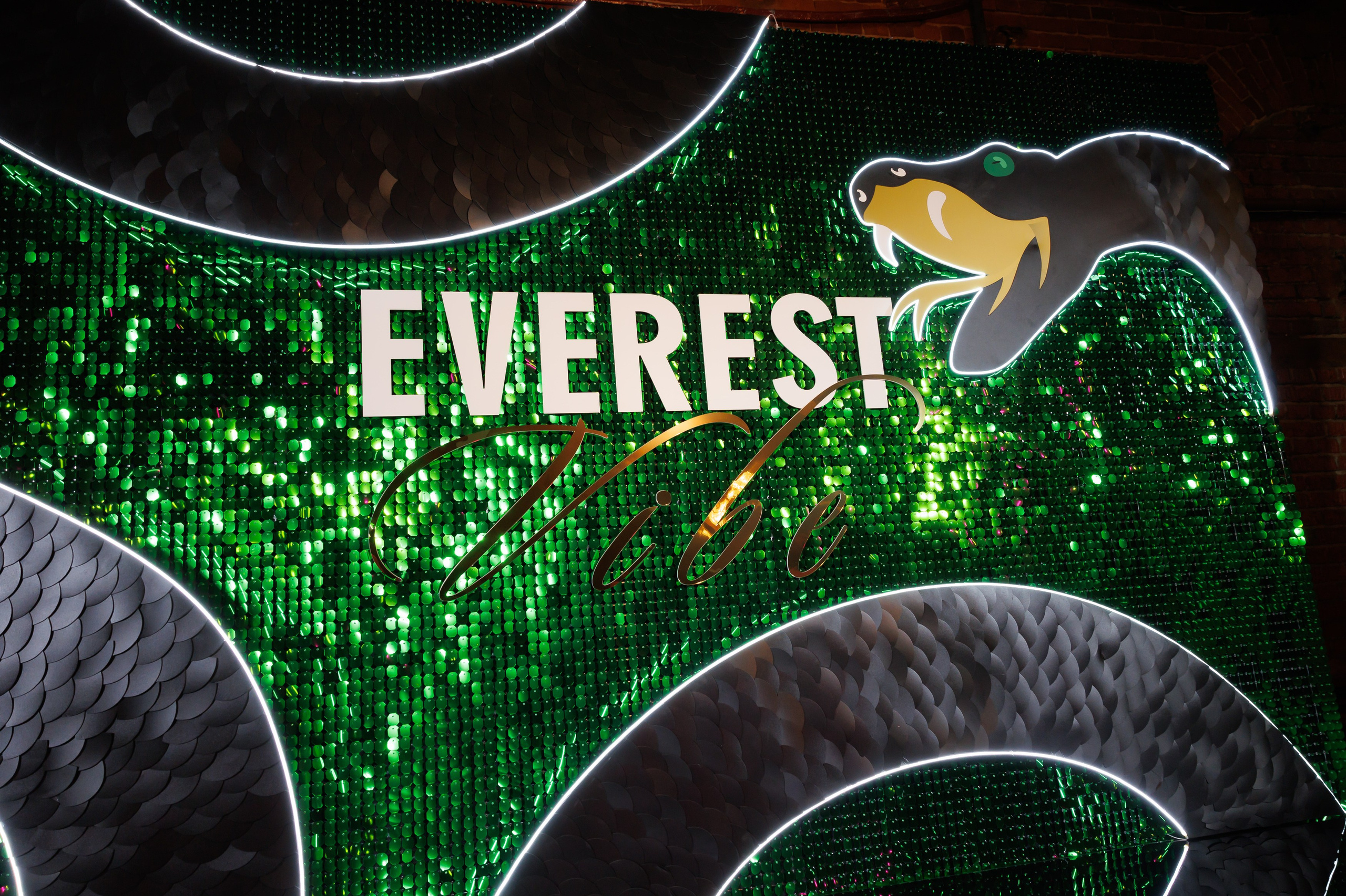 EVEREST VIBE NY «ТОЛЬКО ТС-С-С» 10.12.2024. EVEREST PHOTO REPORT