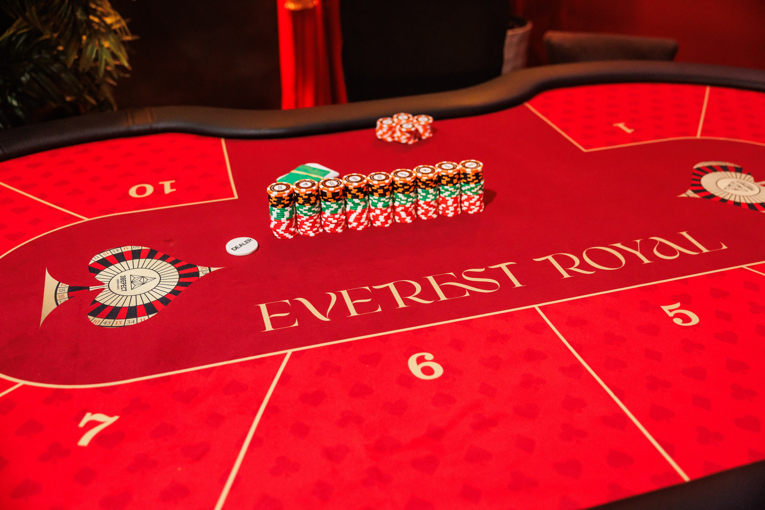EVEREST ROYAL 10.12.2025. EVEREST PHOTO REPORT