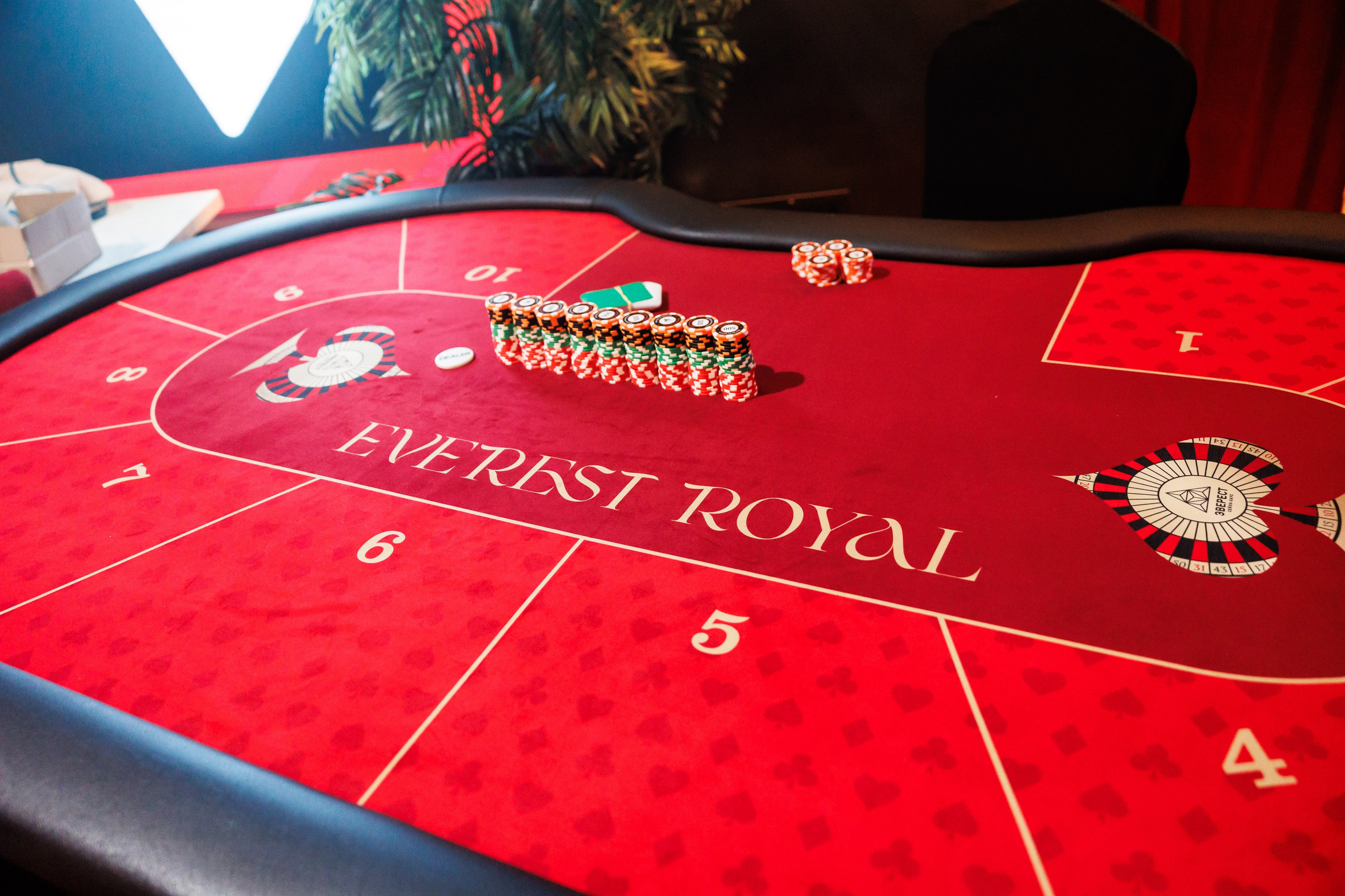 EVEREST ROYAL 10.12.2025. EVEREST PHOTO REPORT