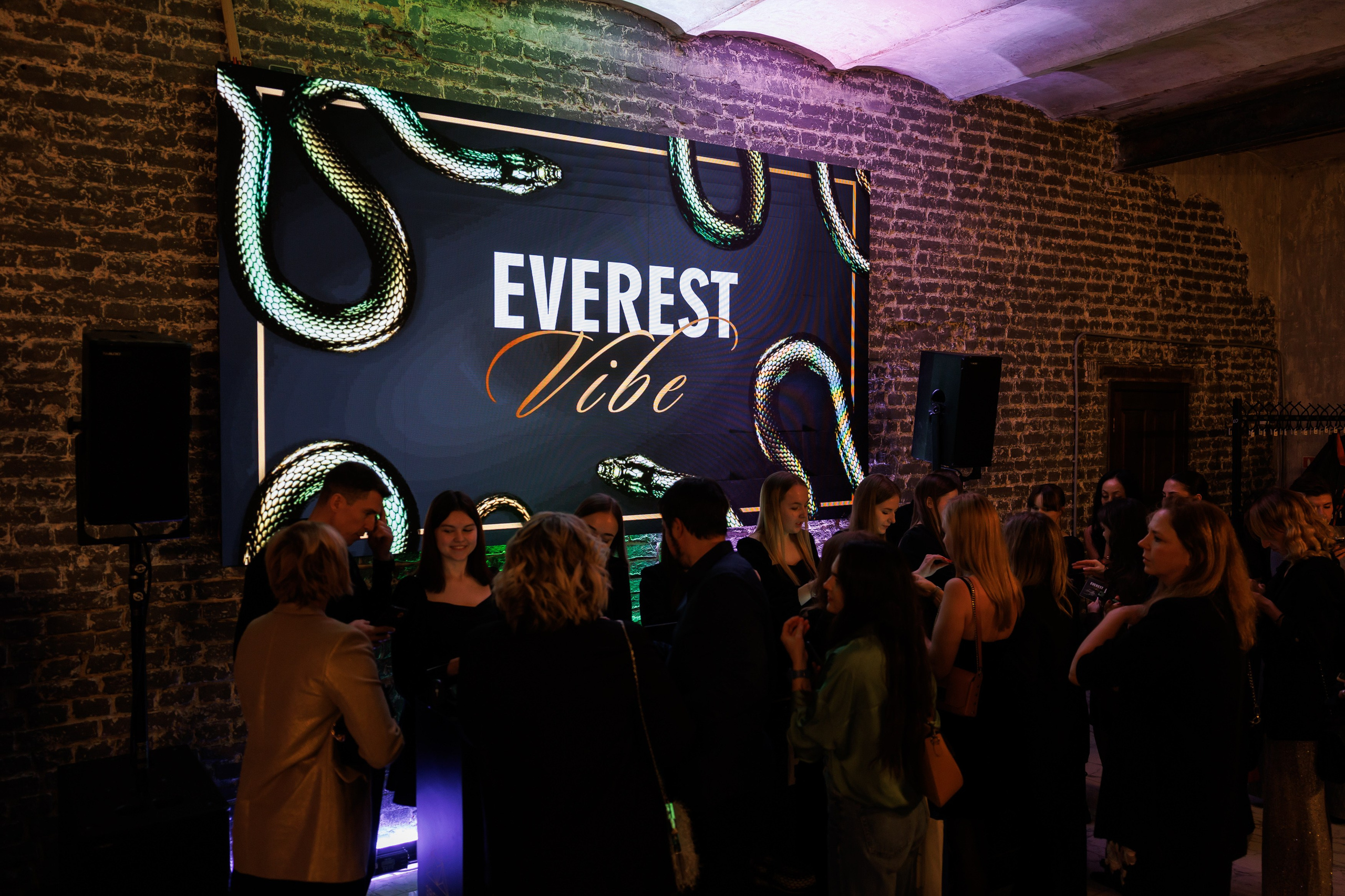 EVEREST VIBE NY «ТОЛЬКО ТС-С-С» 10.12.2024. EVEREST PHOTO REPORT