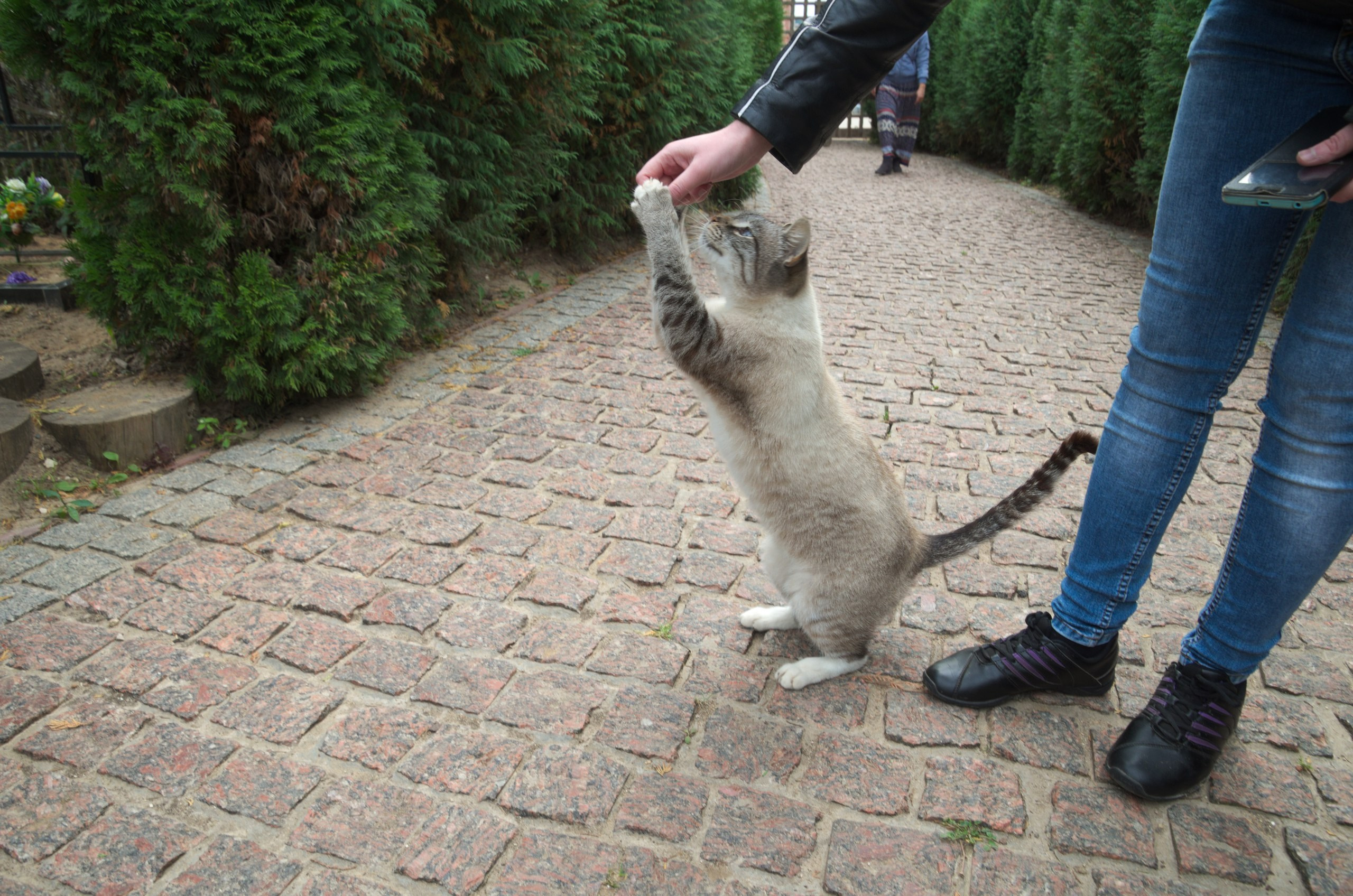 Боровск и парк птиц «Воробьи» | 17.09.2017. Галерея Фантим