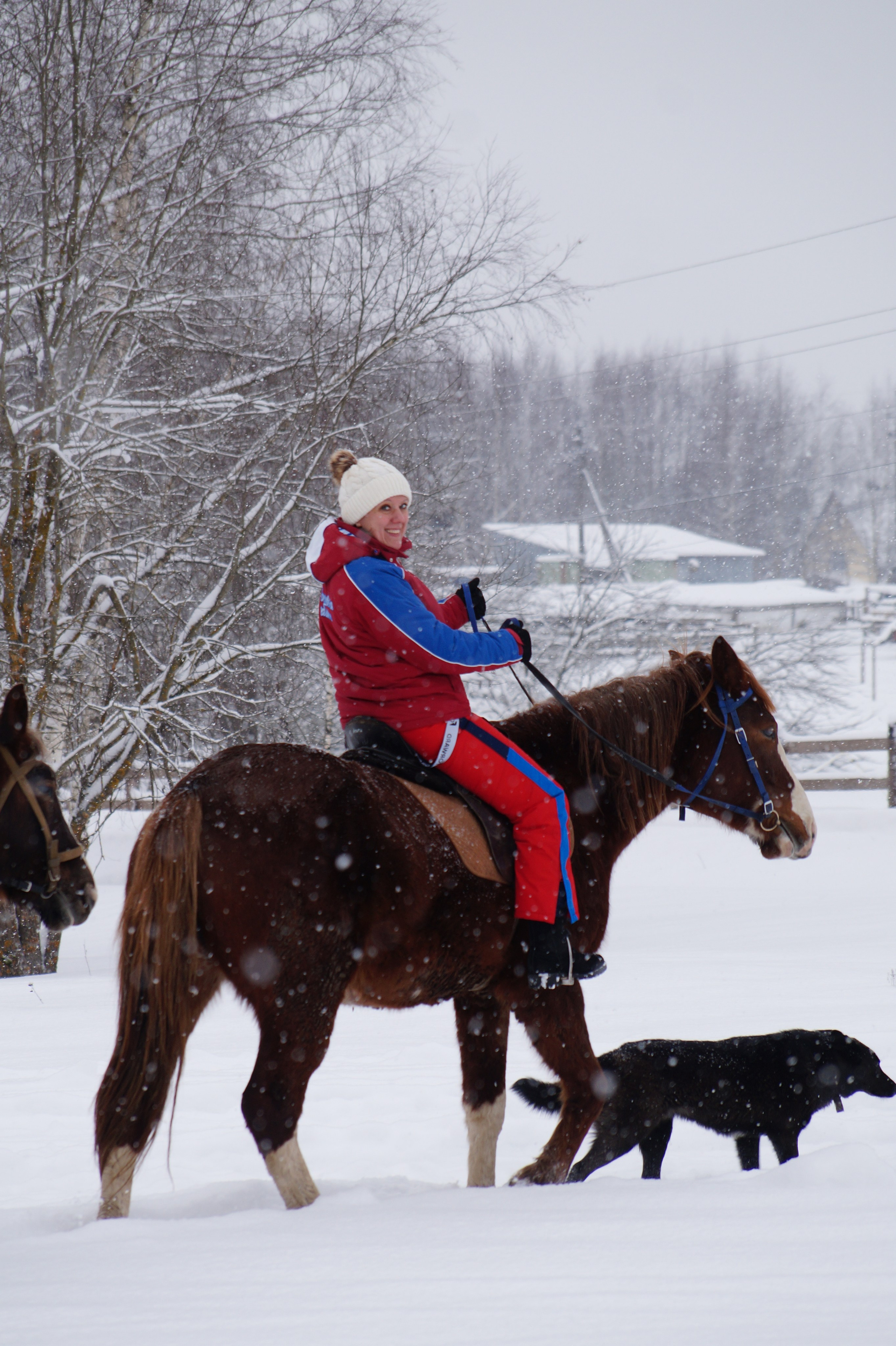 Лошадинг | 11.01.2026. Галерея Фантим