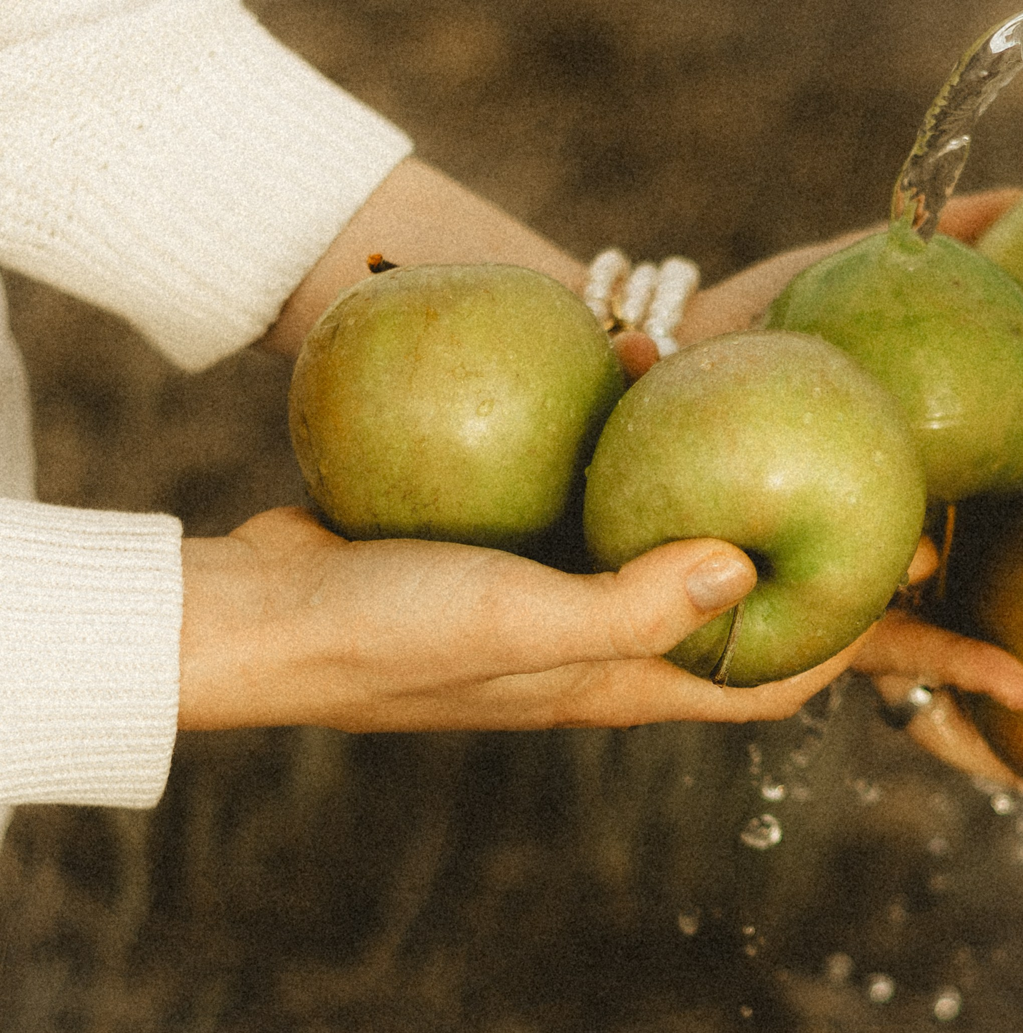 Арут и Саша. Фотограф свадебных и парных историй Кристина Шакула