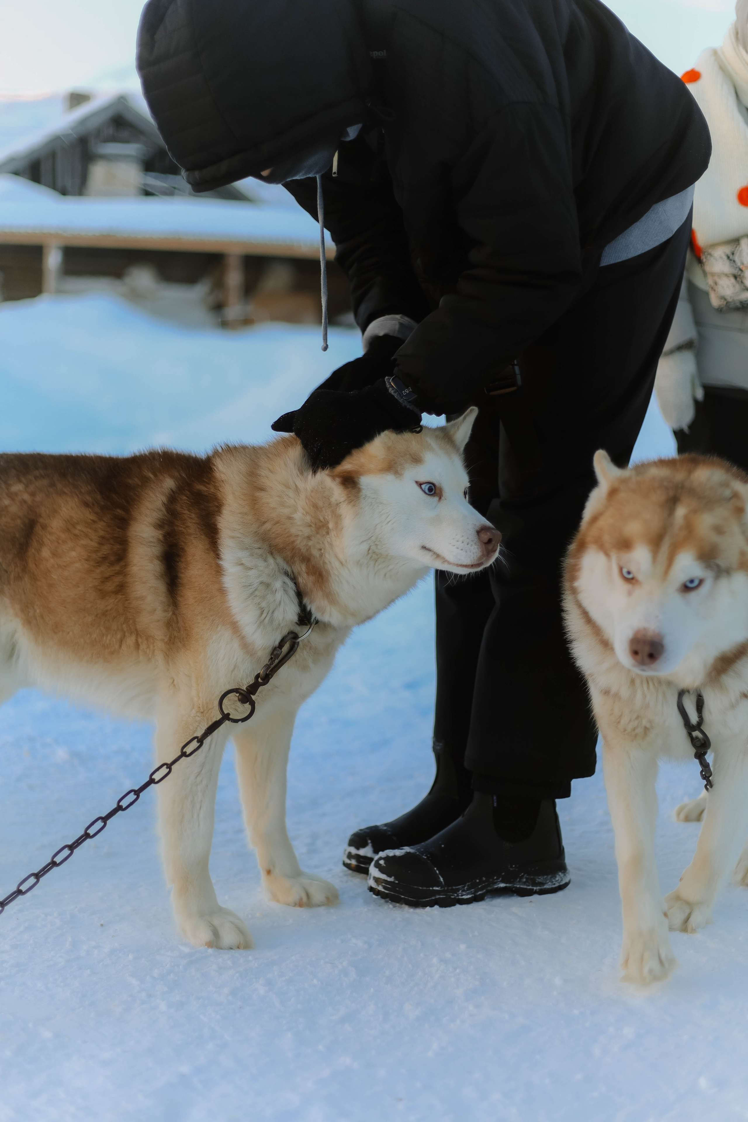 Travel. Фото, видео и контент съемки в Москве