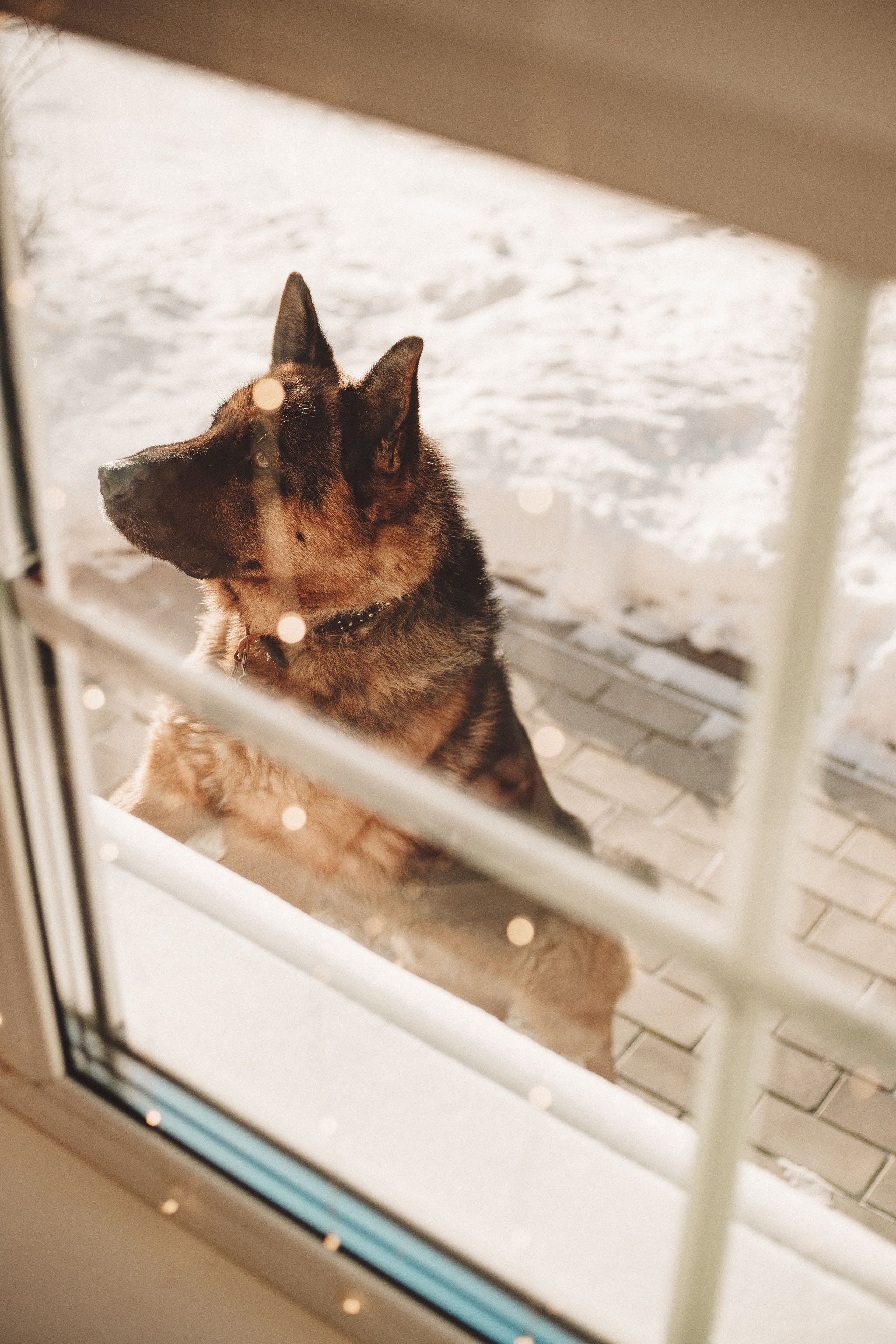 Домашняя фотосессия - Так выглядит Счастье!. Семейный и женский фотограф Кемерово Мария Степ