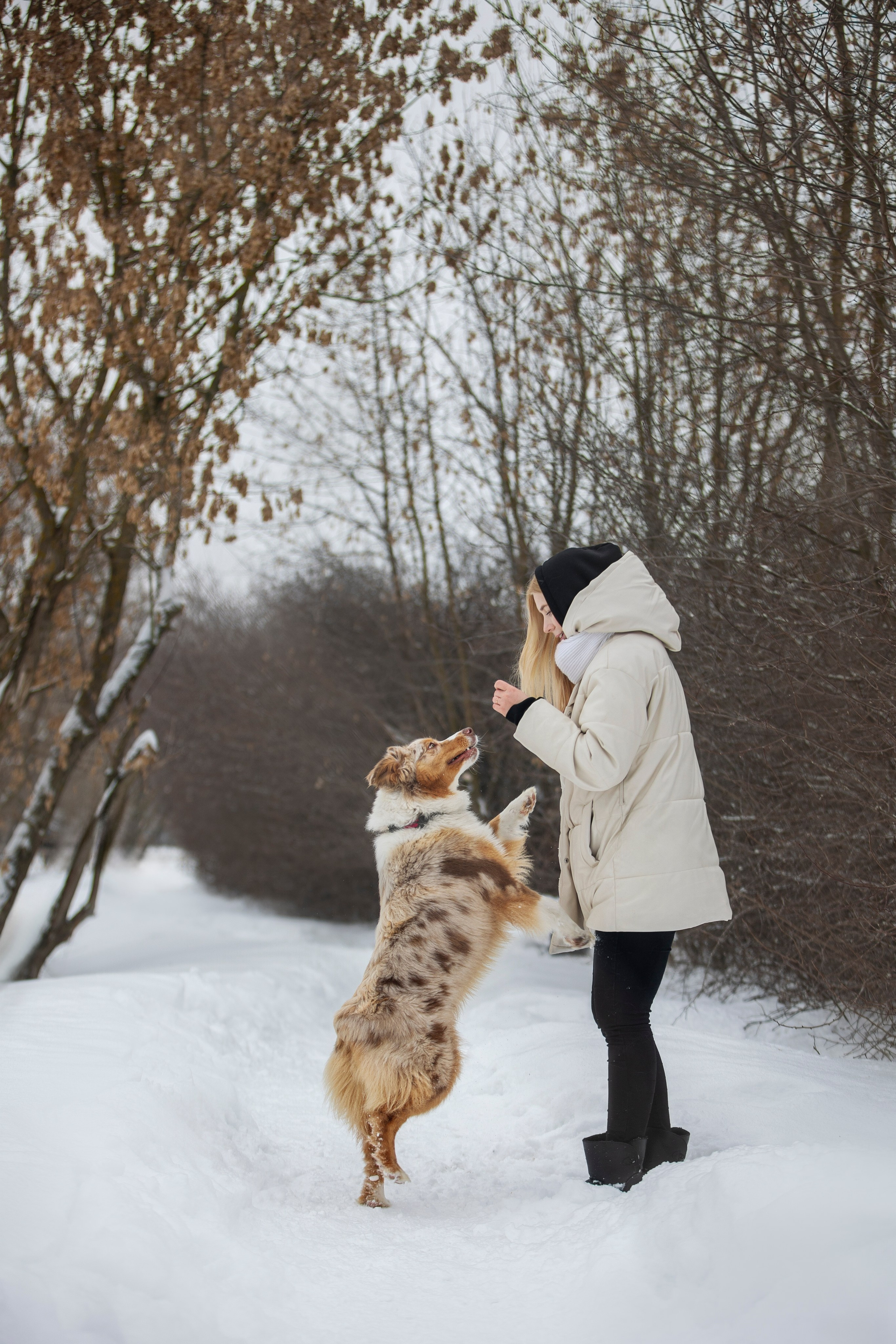 Настя, Игорь, Тесс и Марс. Фотограф анималист в Москве Майорова Евгения