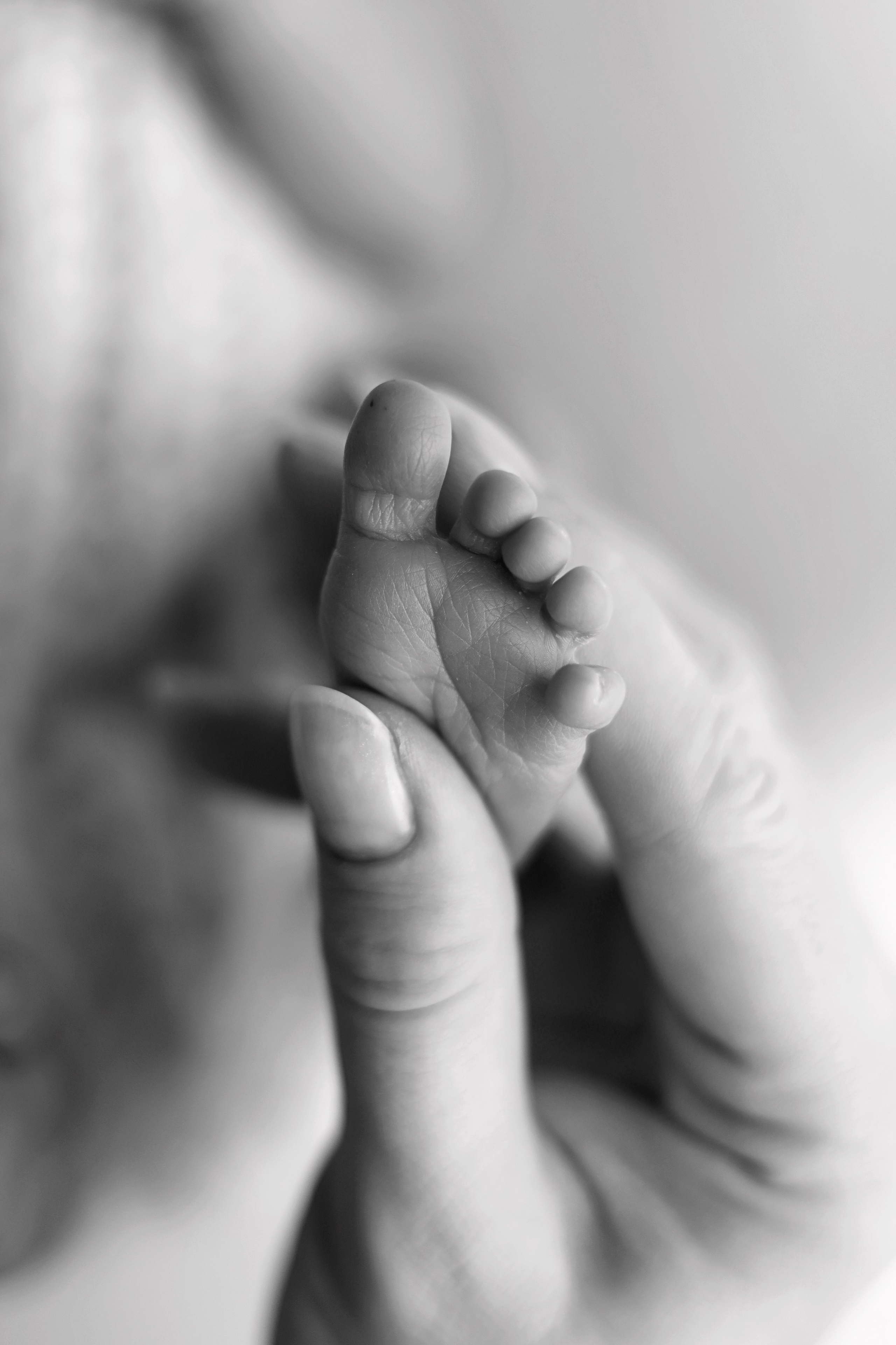 Ньюборн фотосессия Артемия. Фотограф новорожденных в Москве. Фотограф новорожденных Москва. Ньюборн фотограф Москва