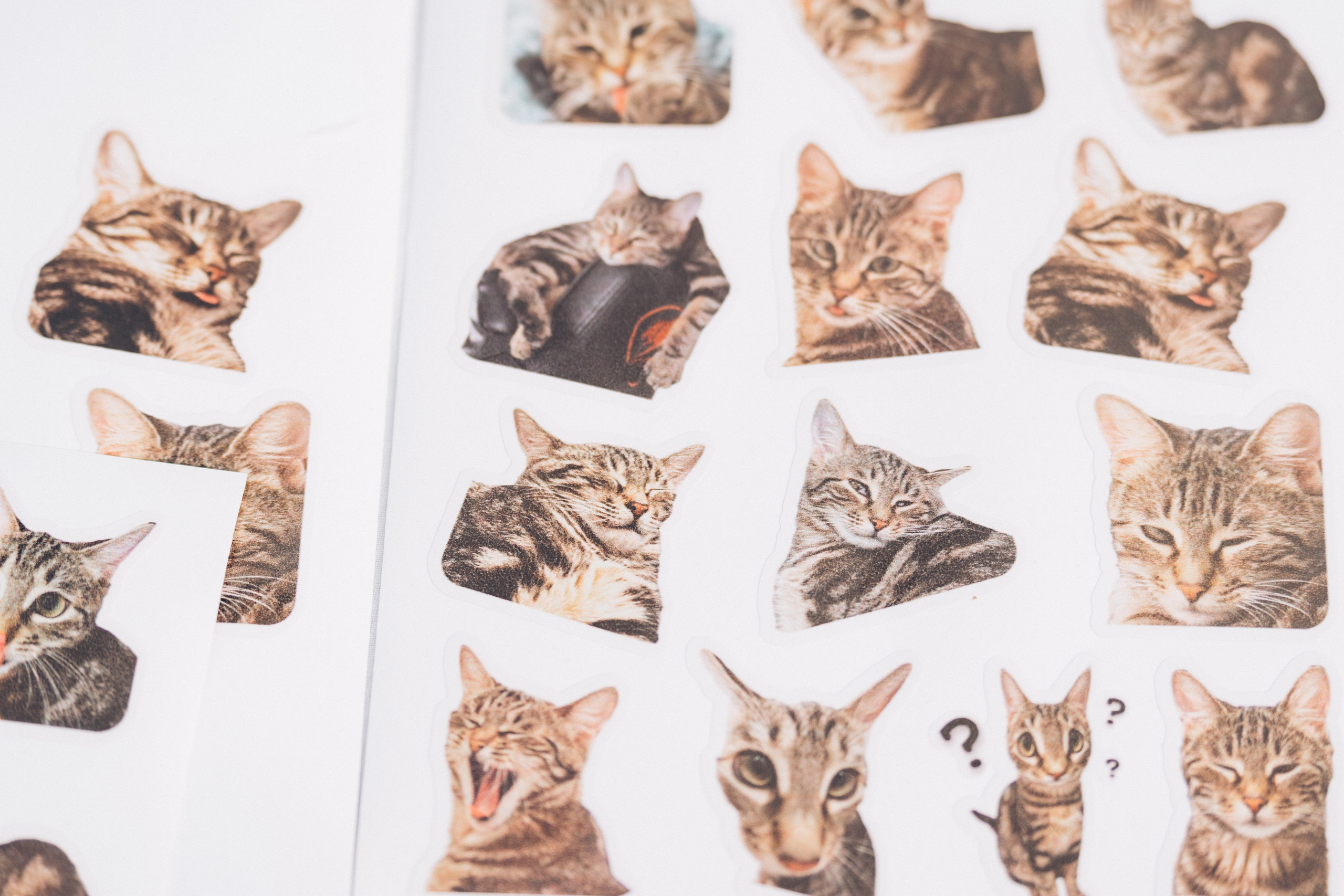 Слава и Вероника. Организация свадеб и других мероприятий во Владивостоке от «Рядом быть»