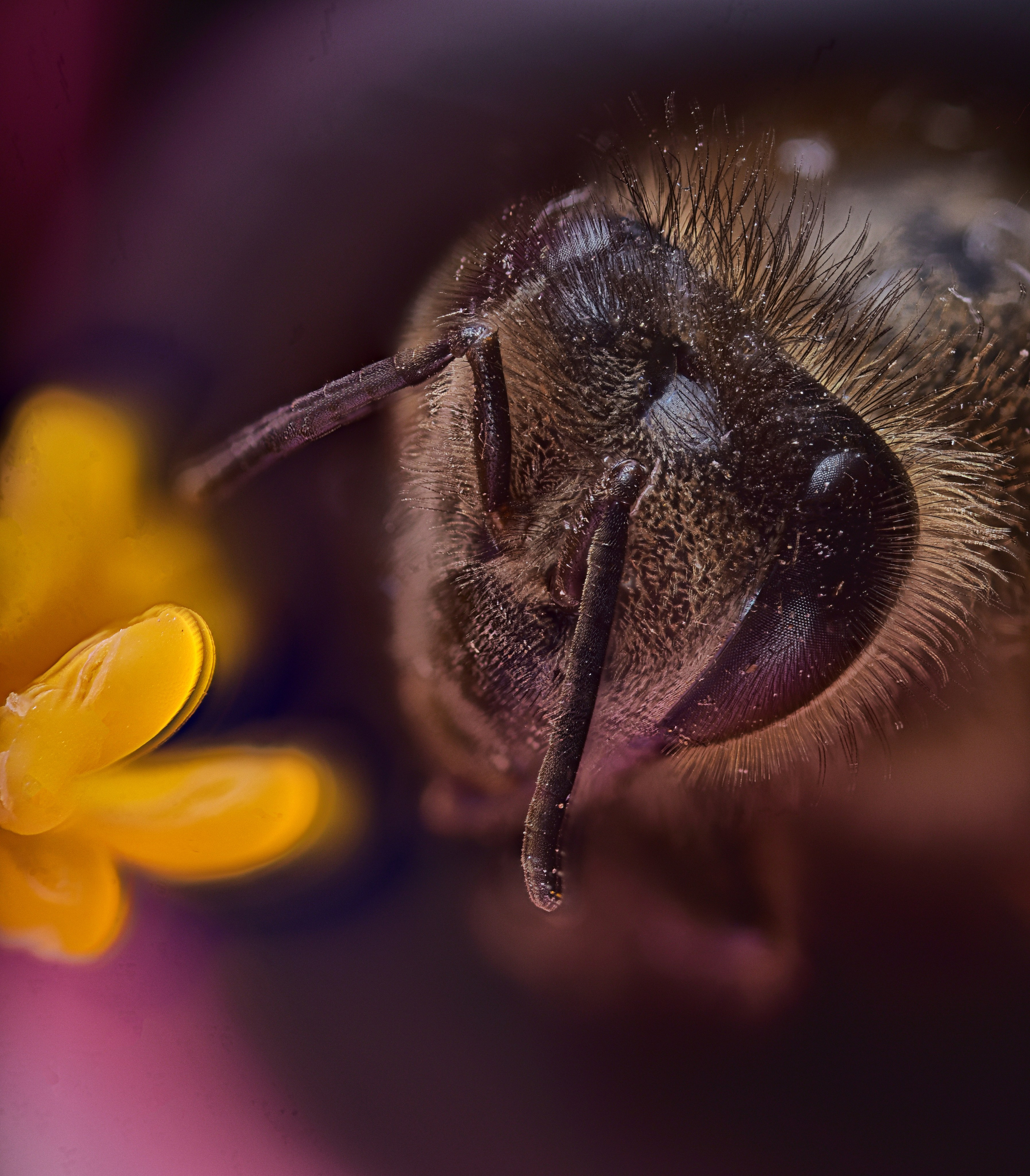 Разное. Fotolux