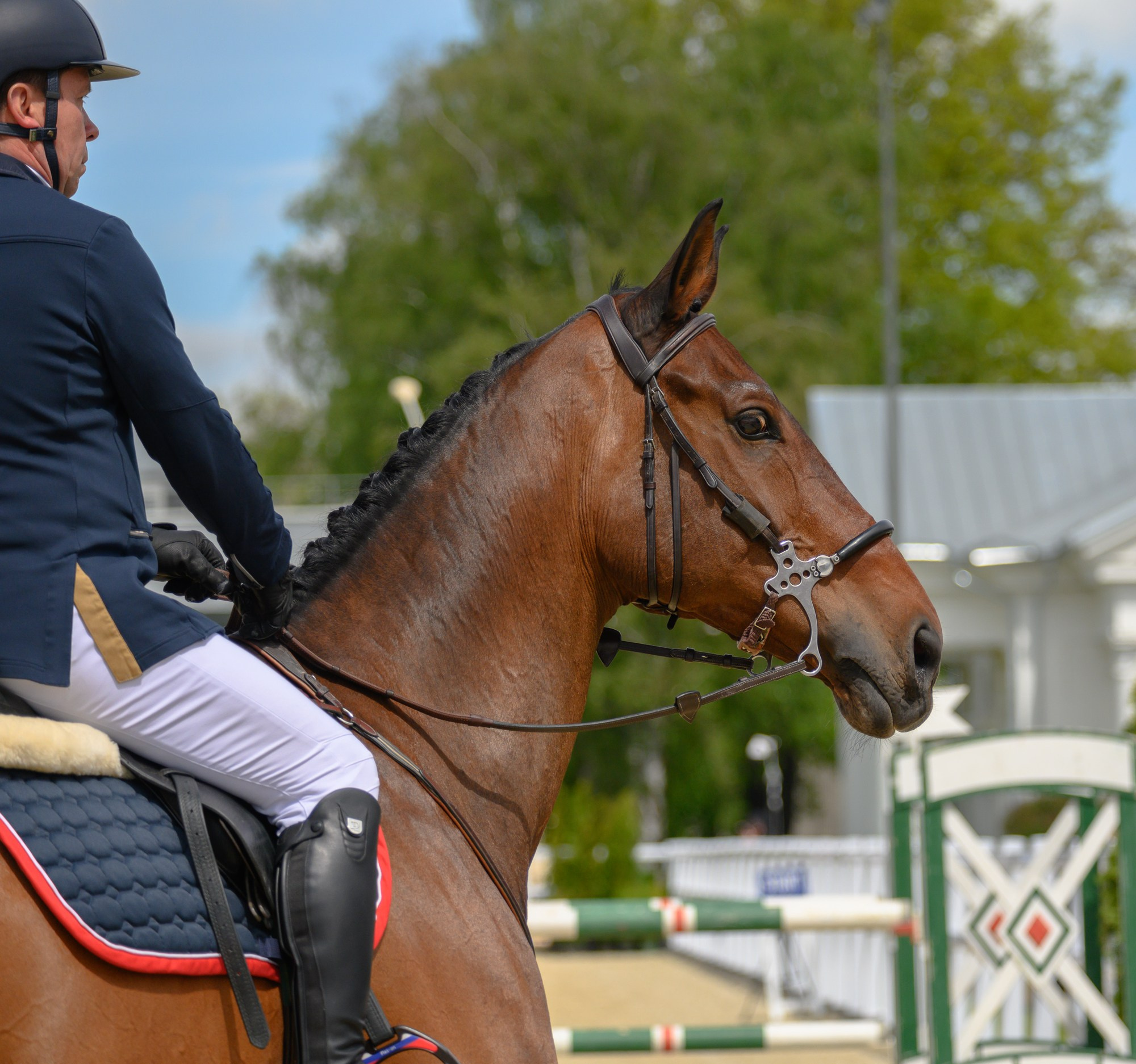 Конкур BITRIVER CUP (ВДНХ). Fotolux