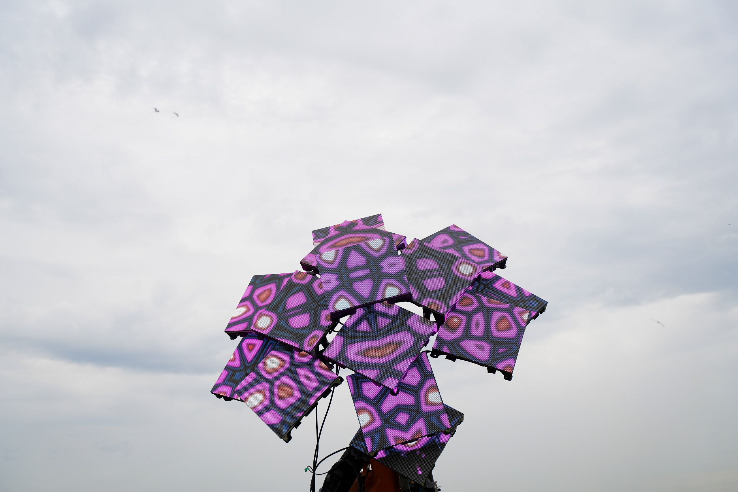 ИТ-пикнит от Т-банка. Свадебный фотограф Москва, Санкт-Петербург