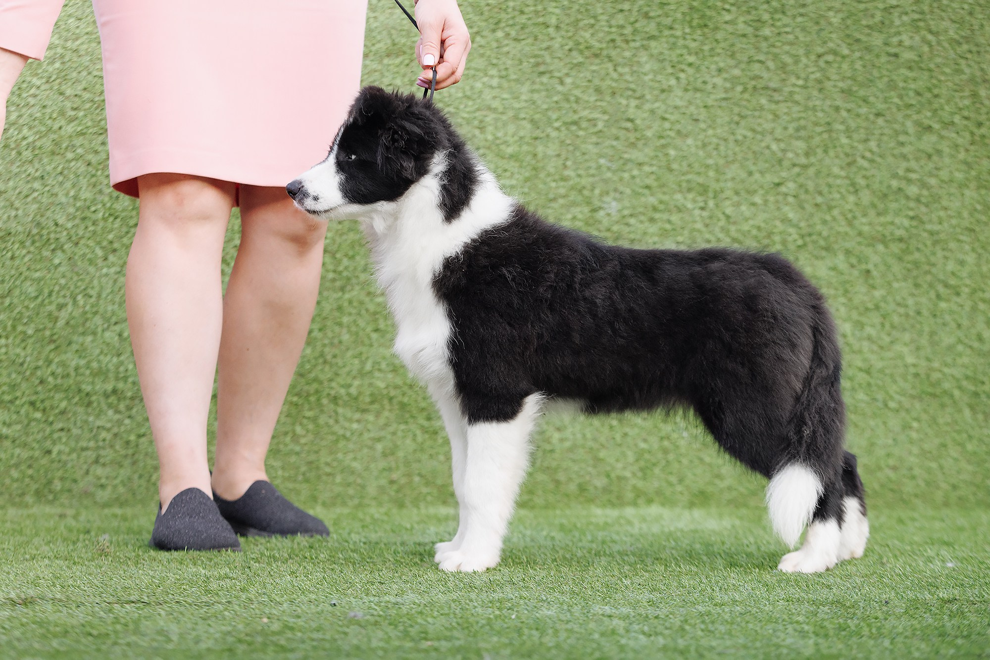 Трава у дома. О нас