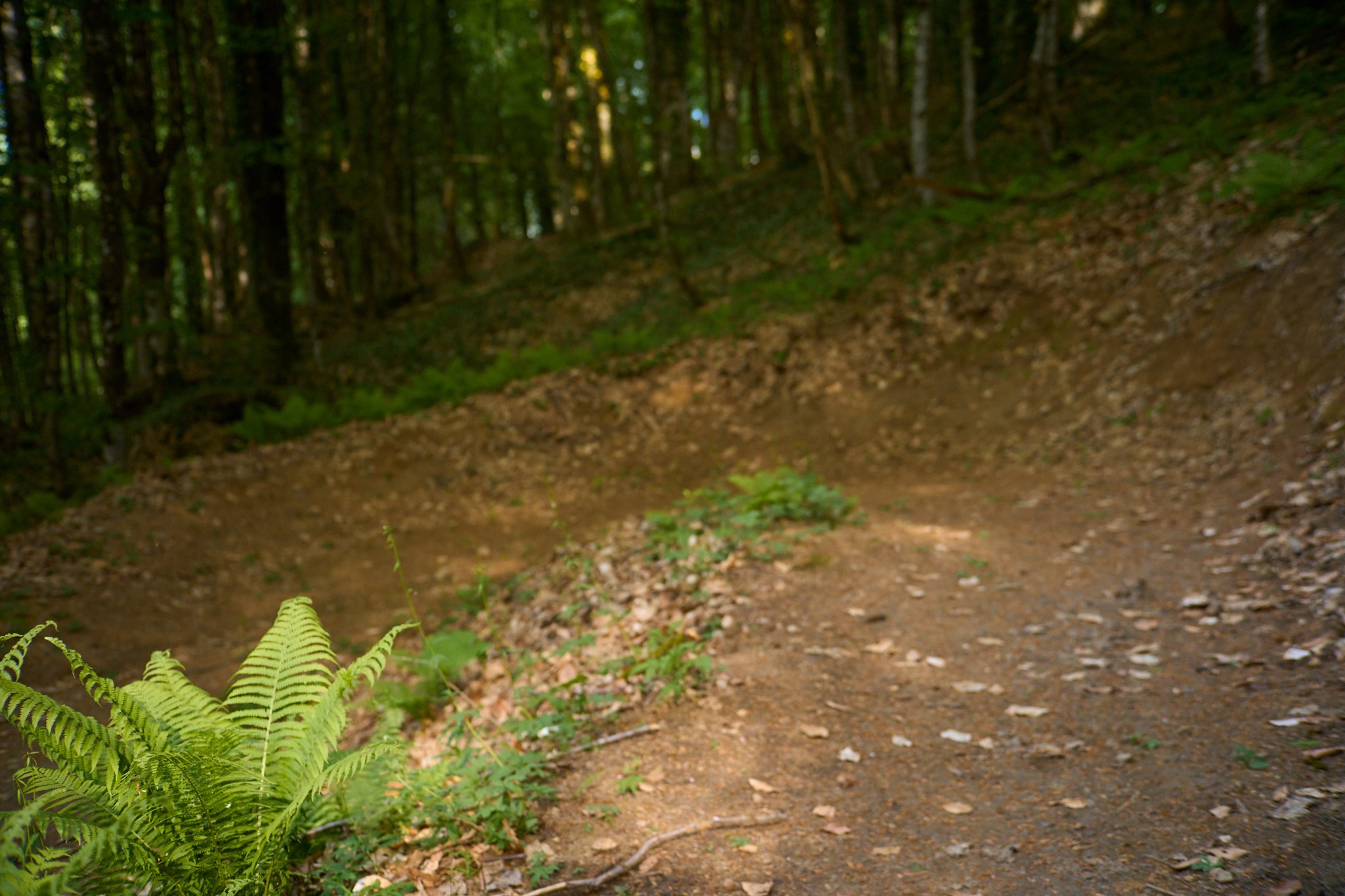 Красная Поляна, апрель 2024. Фотограф, Римма Невинская