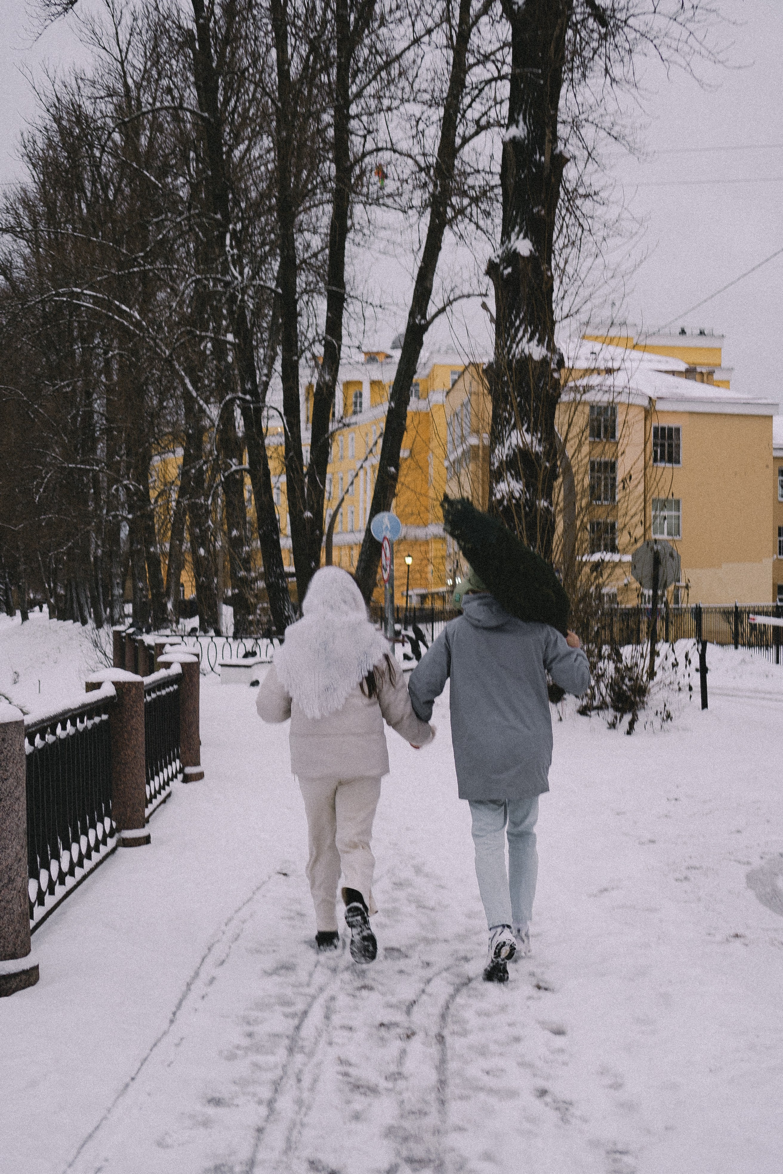Зимняя история. Профессиональный фотограф, Санкт-Петербург — Виктория Богомолова